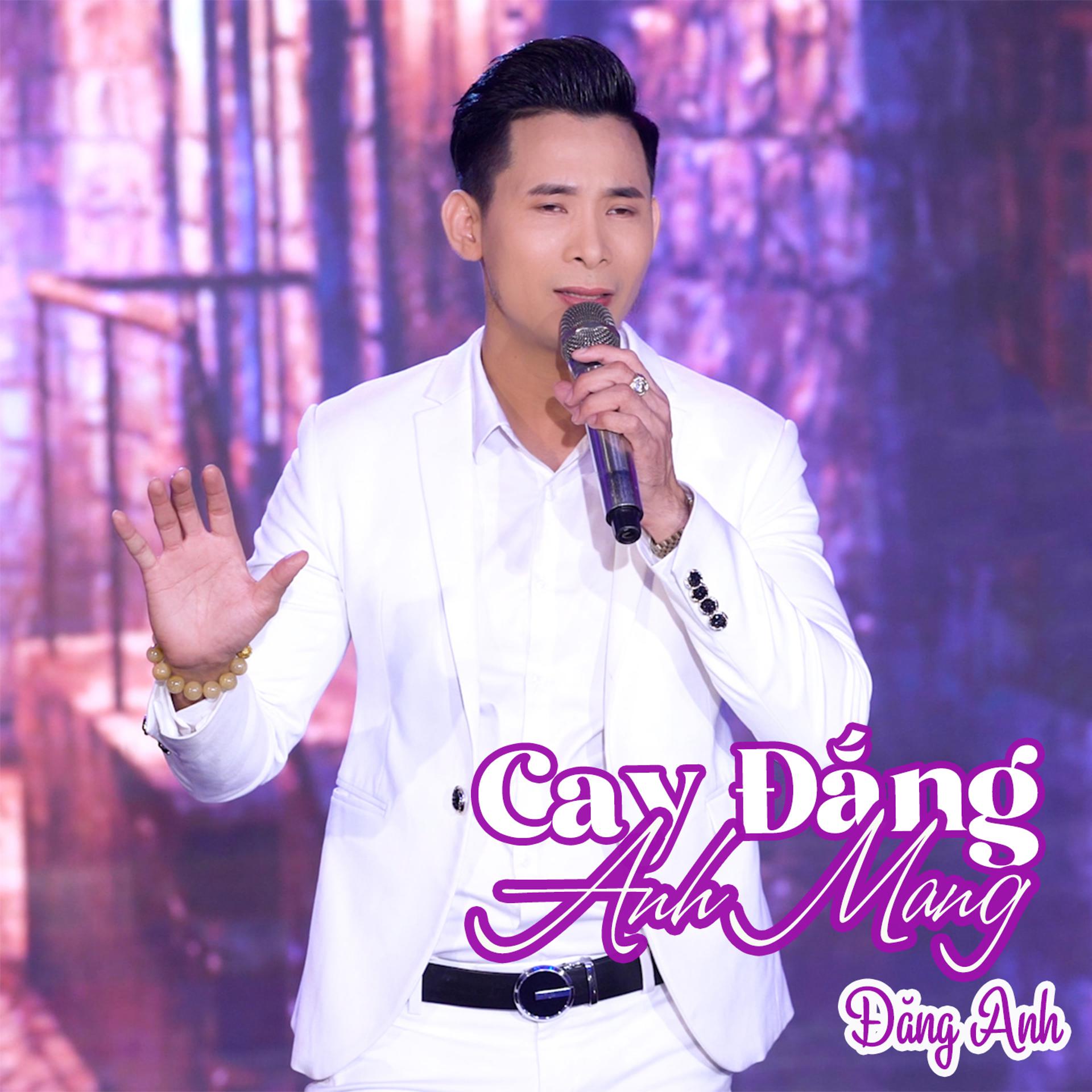 Постер альбома Cay Đắng Anh Mang