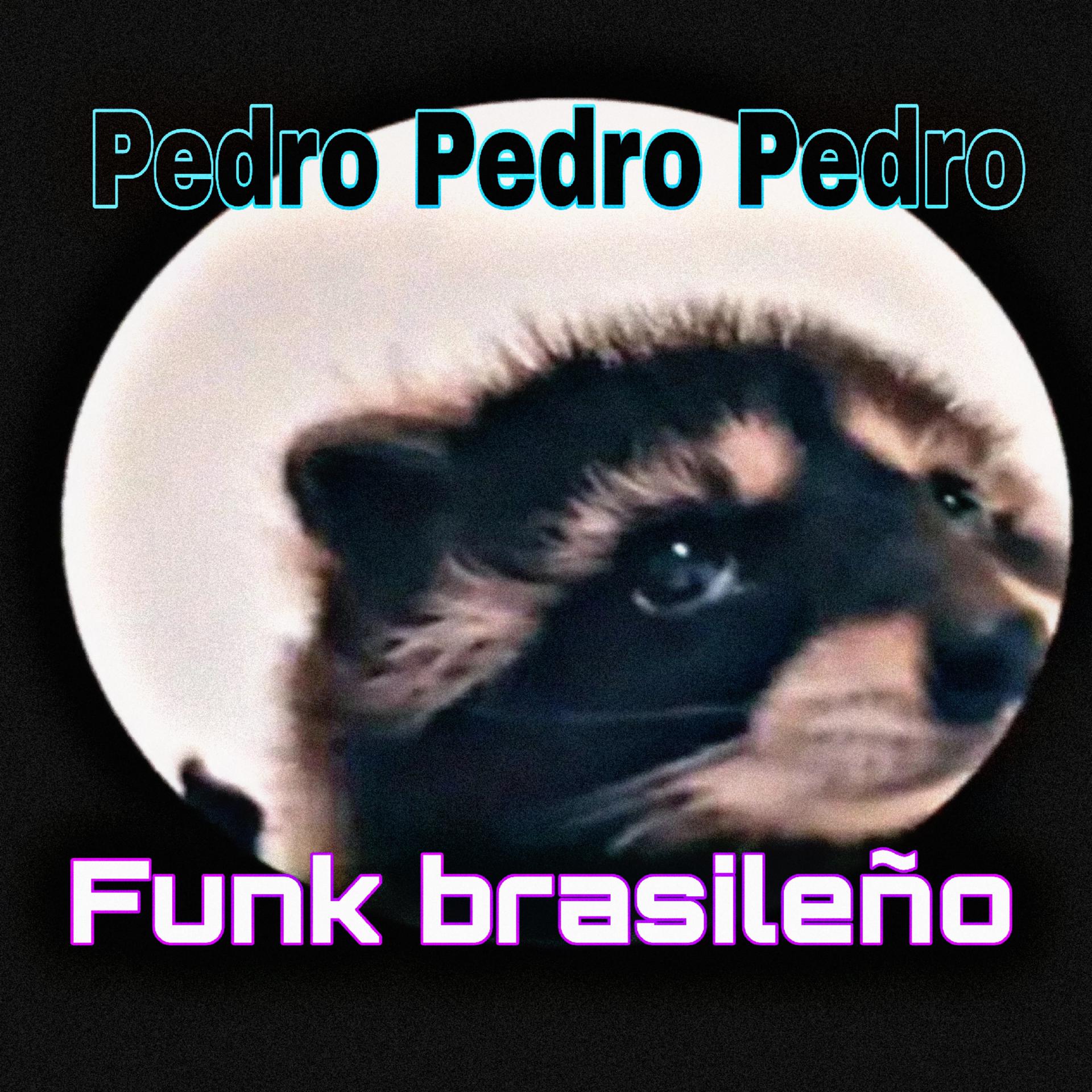 Постер альбома Pedro Pedro Pedro - Funk Brasileño