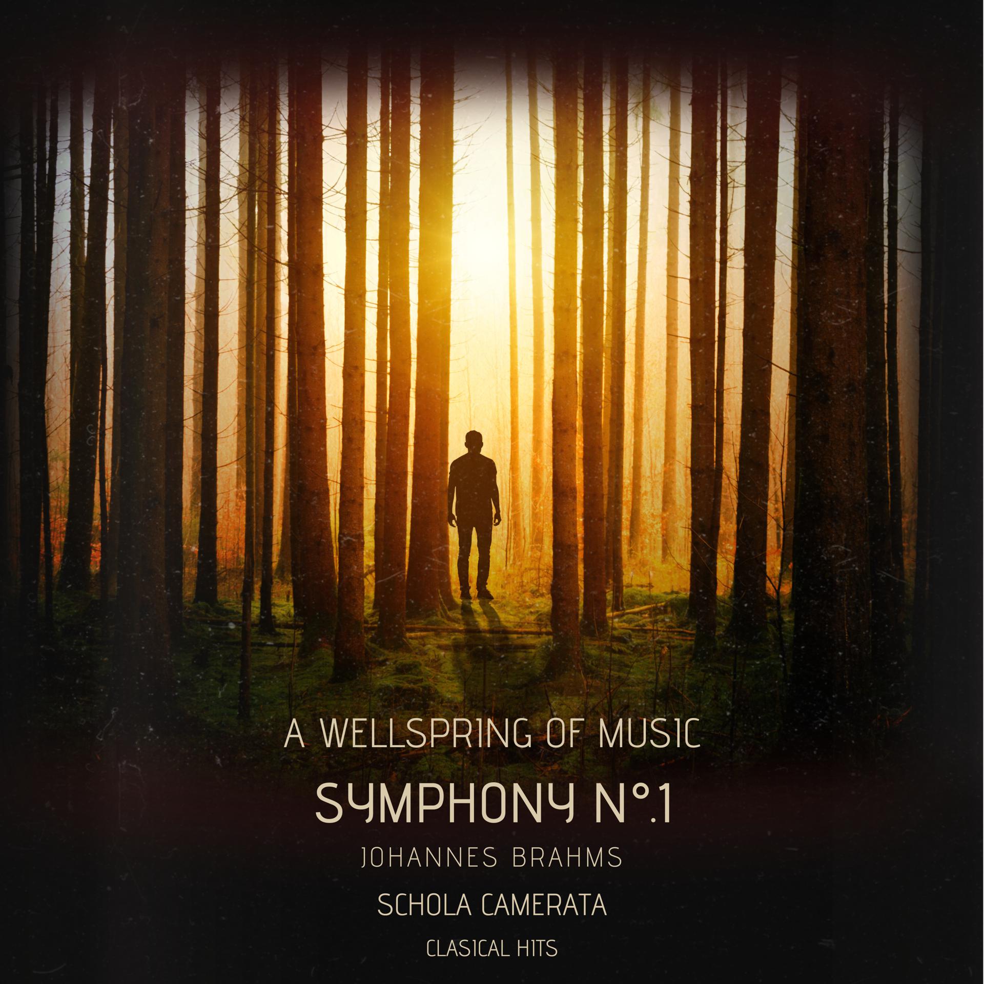 Постер альбома A Wellspring Of Music -  Symphony No. 1