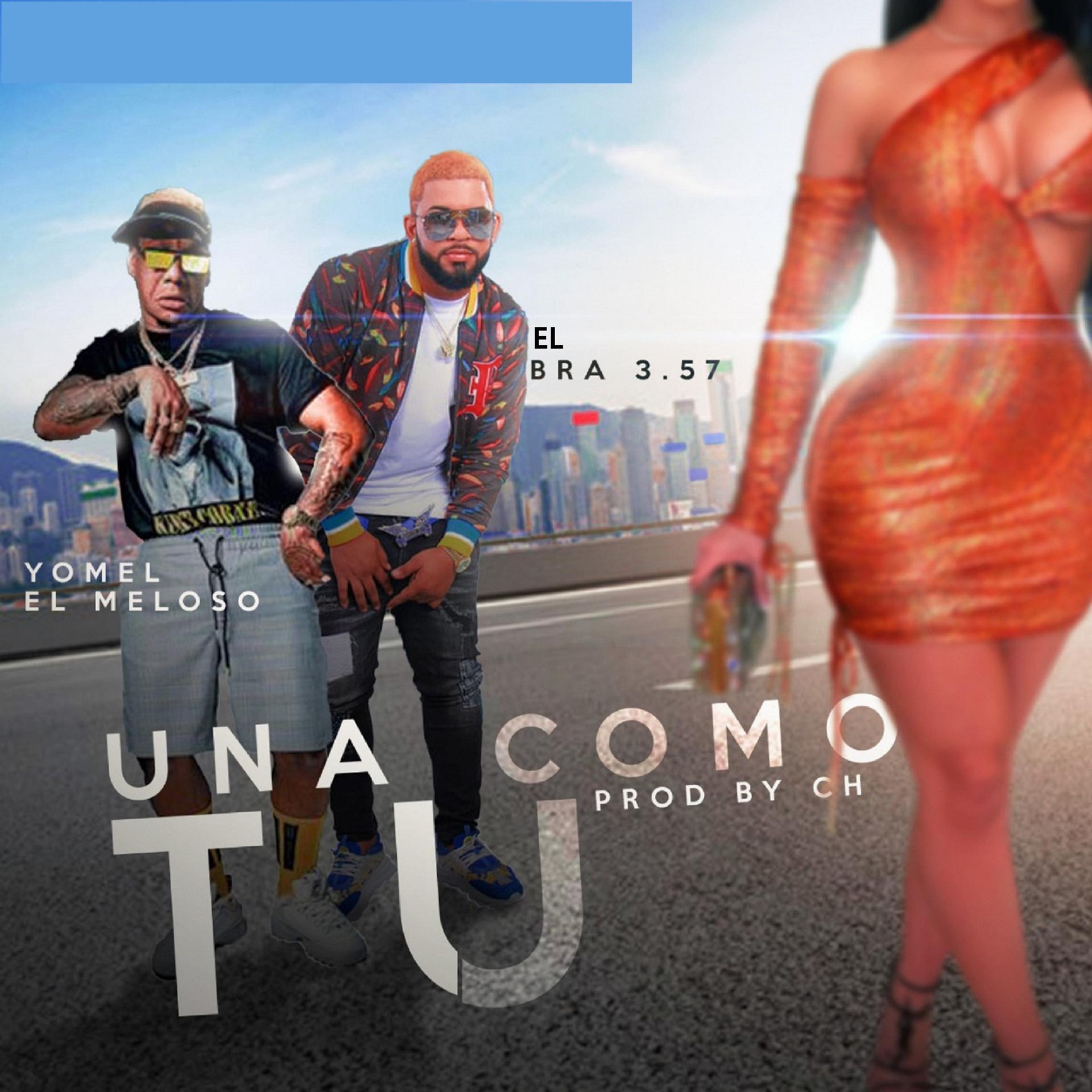 Постер альбома Una Como Tú