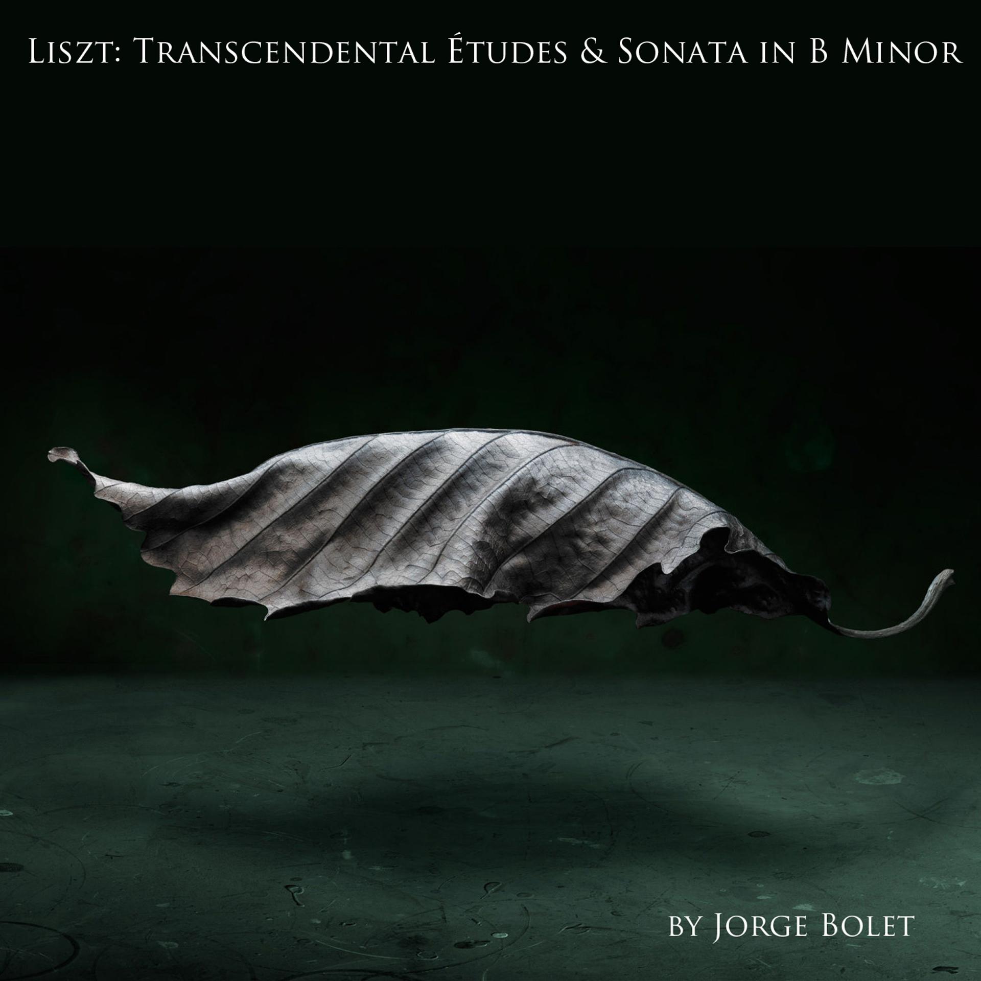 Постер альбома Liszt: Transcendental Études & Sonata in B Minor