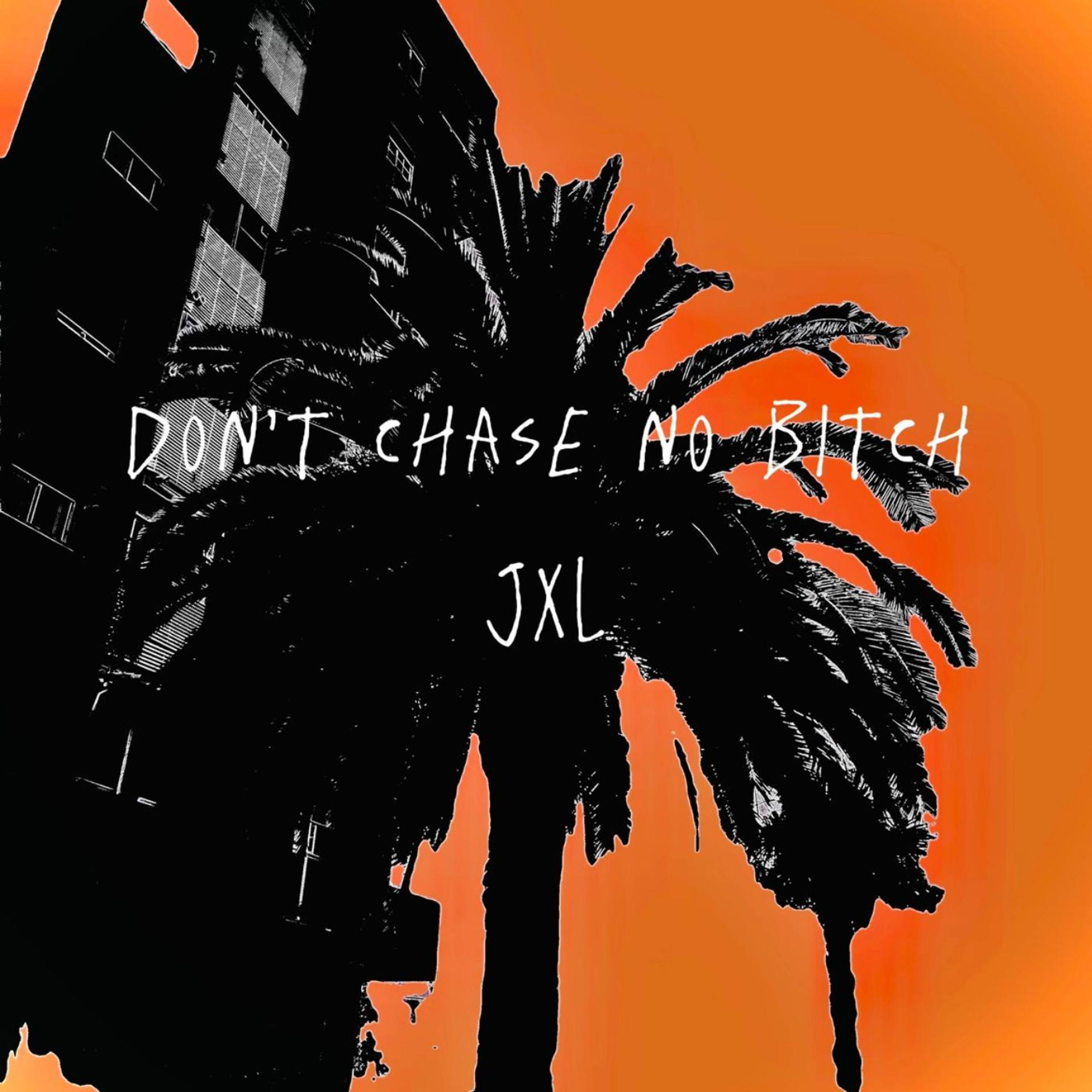 Постер альбома Don't Chase No Bitch