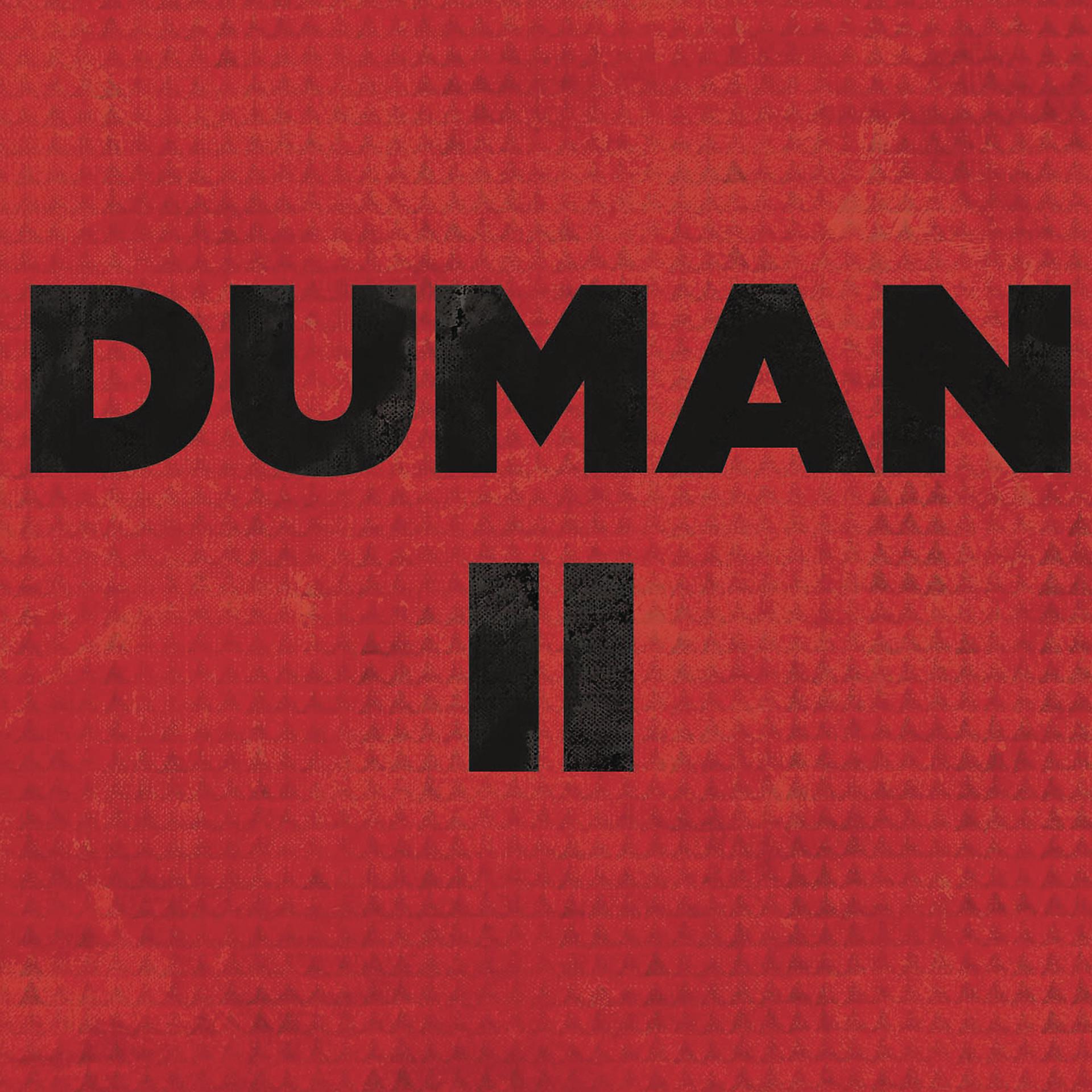 Постер альбома Duman 2