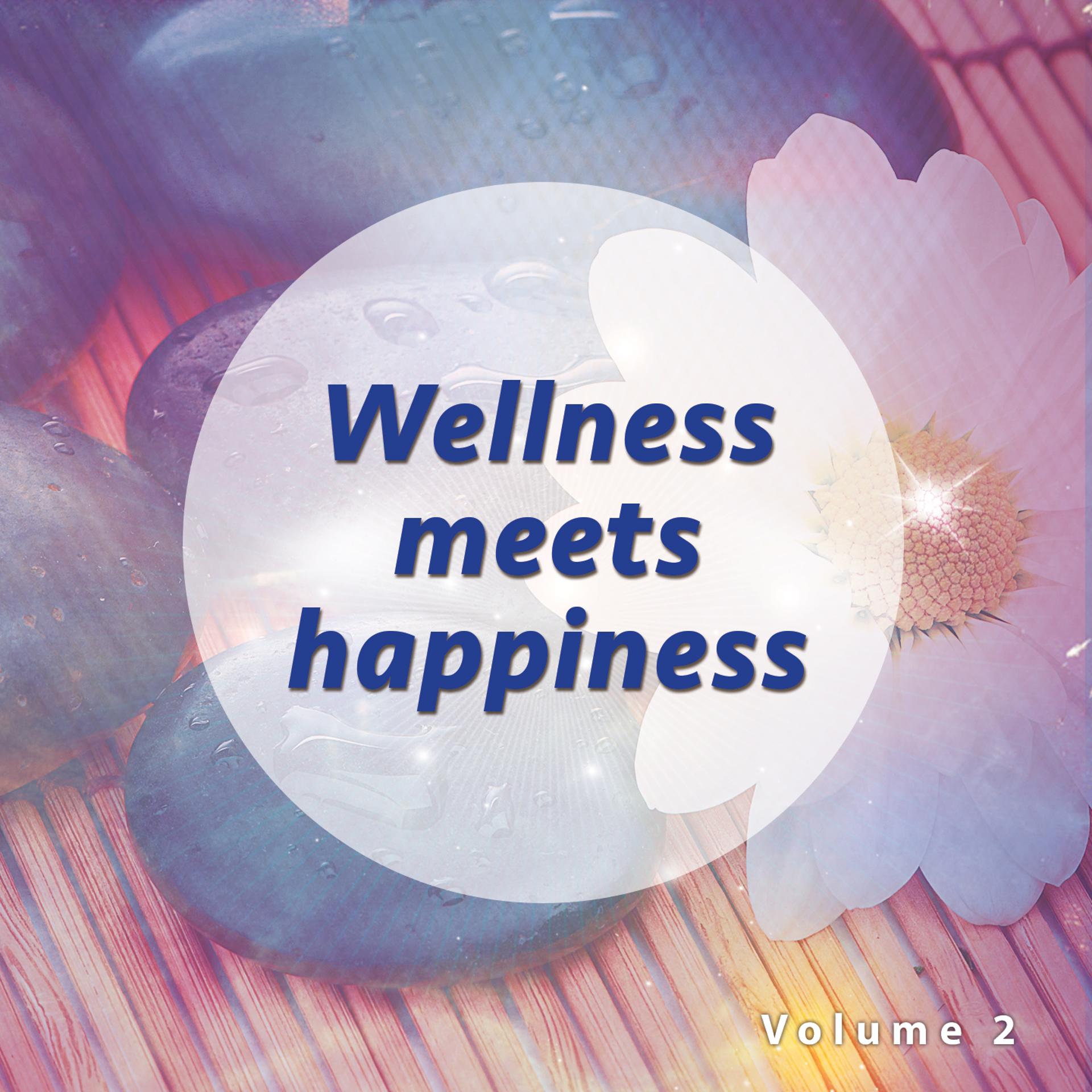 Постер альбома Wellness meets Happiness, Vol. 2