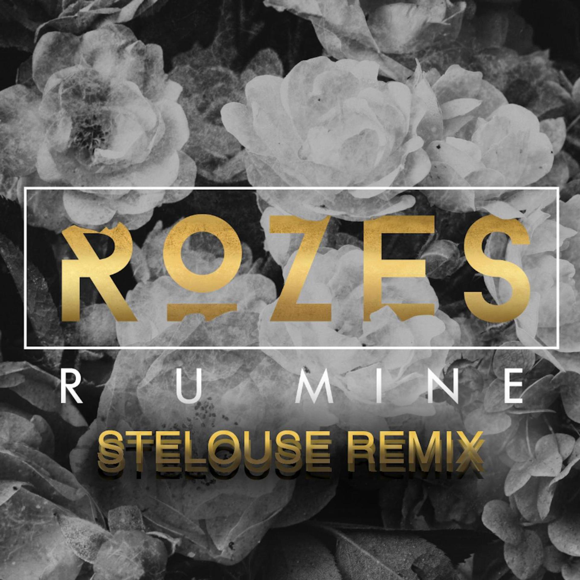 Постер альбома R U Mine (SteLouse Remix)