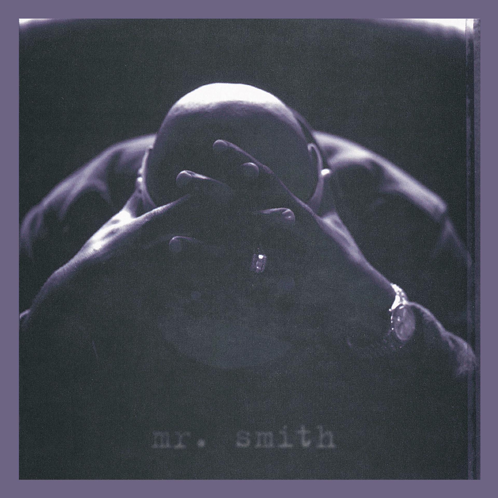 Постер альбома Mr. Smith