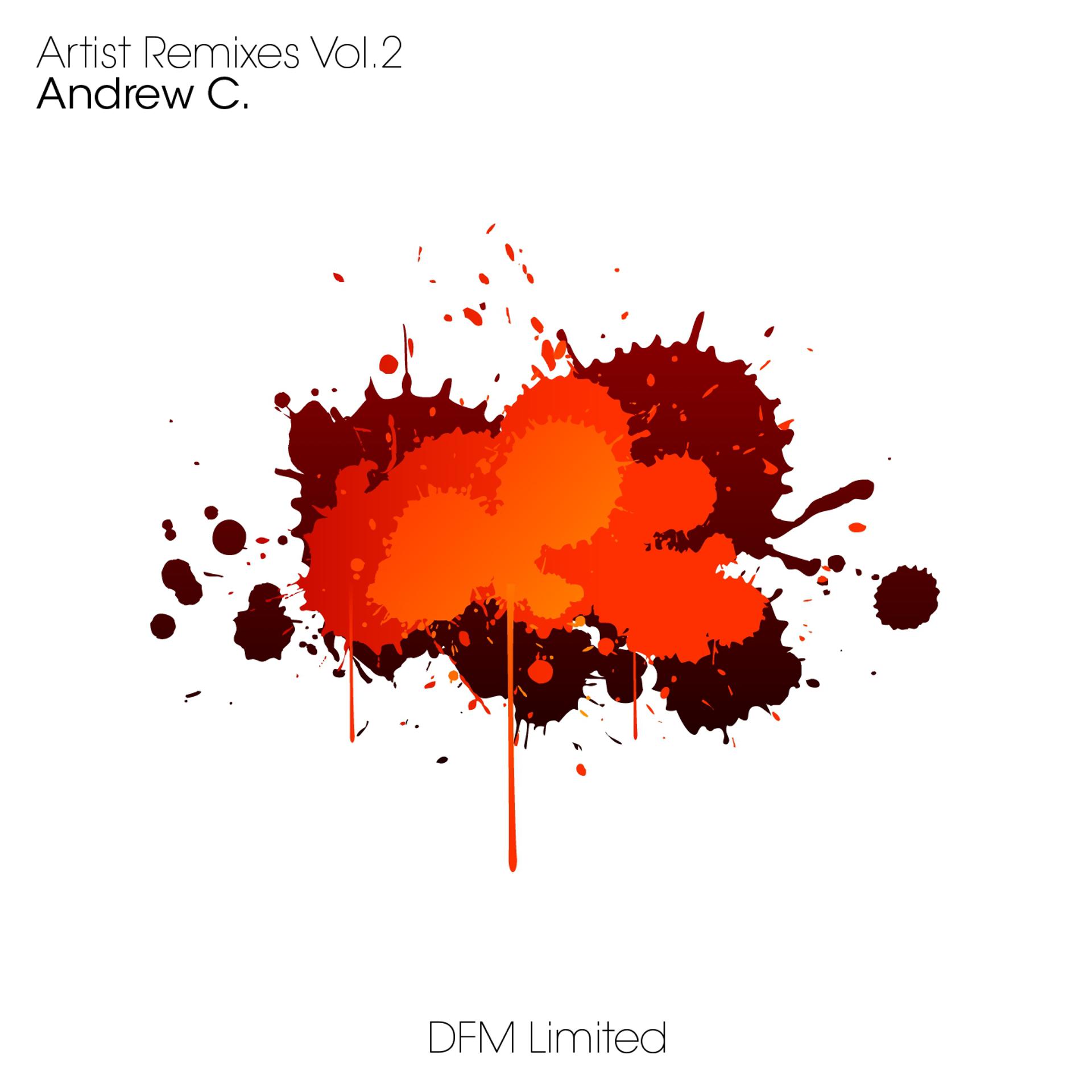 Постер альбома Artist Remixes, Vol. 2