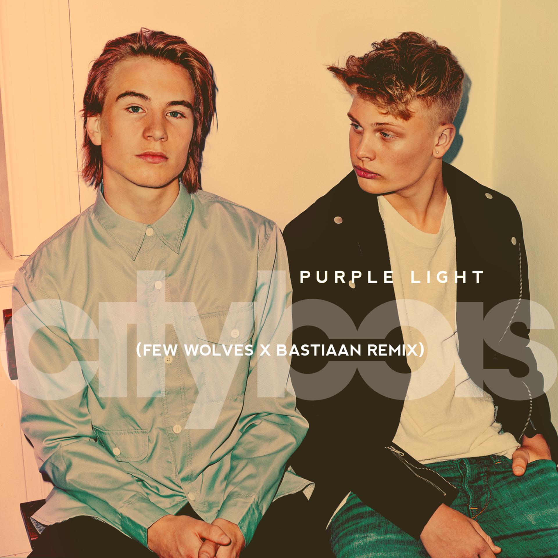 Постер альбома Purple Light (Few Wolves & Bastiaan Remix)