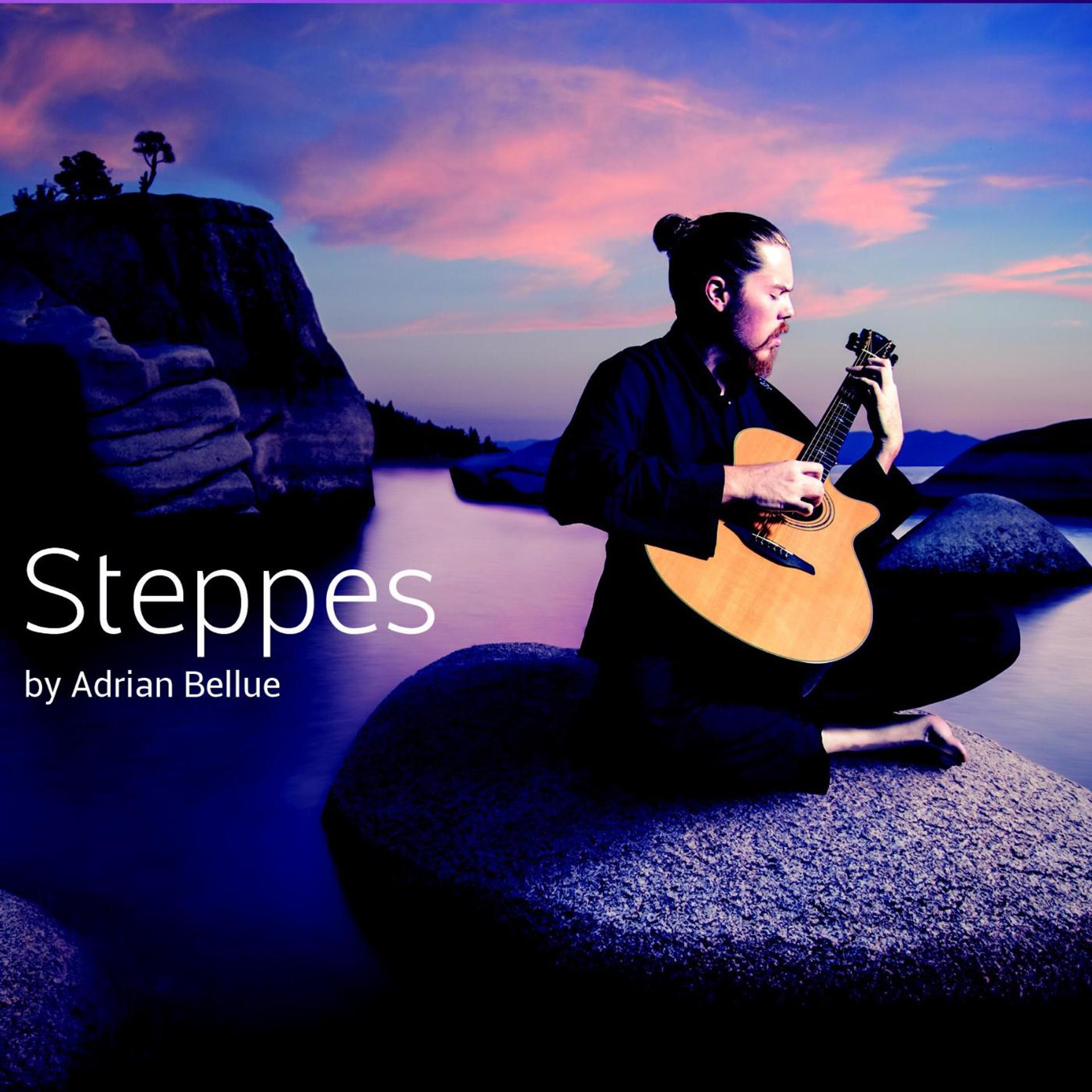 Постер альбома Steppes