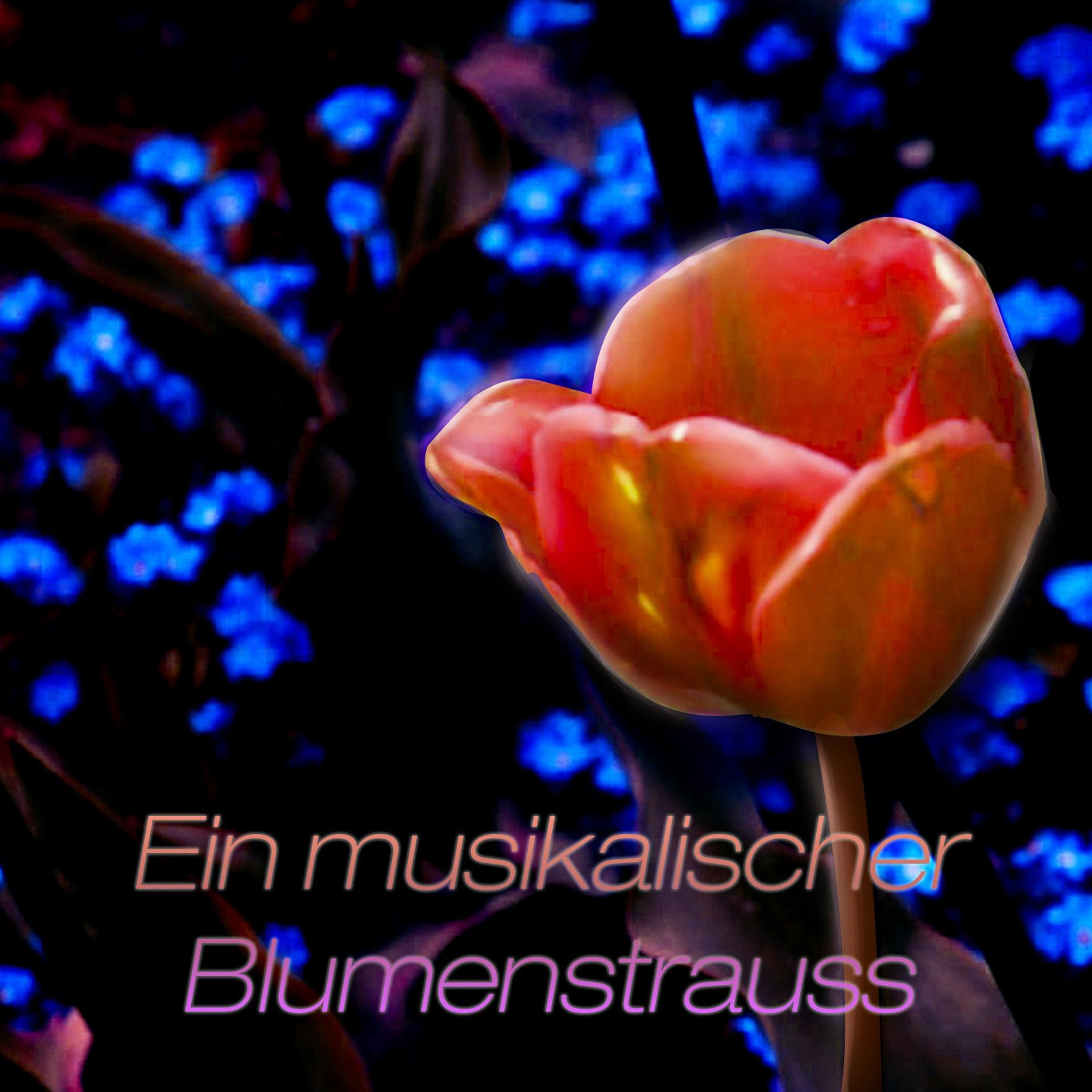 Постер альбома Ein musikalischer Blumenstrauss