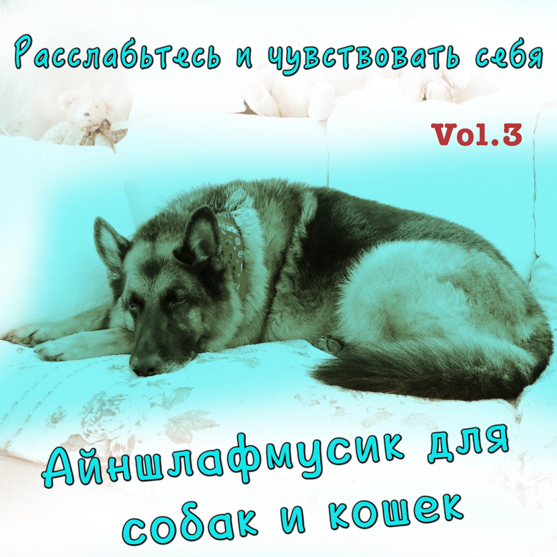 Постер альбома Расслабьтесь и чувствовать себя, Vol. 3 (Айншлафмусик для собак и кошек)
