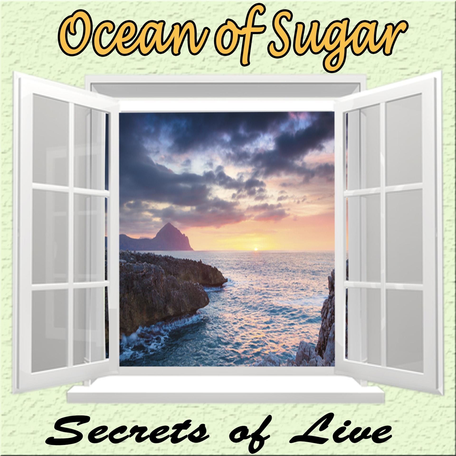 Постер альбома Secrets of Life, Ocean of Sugar