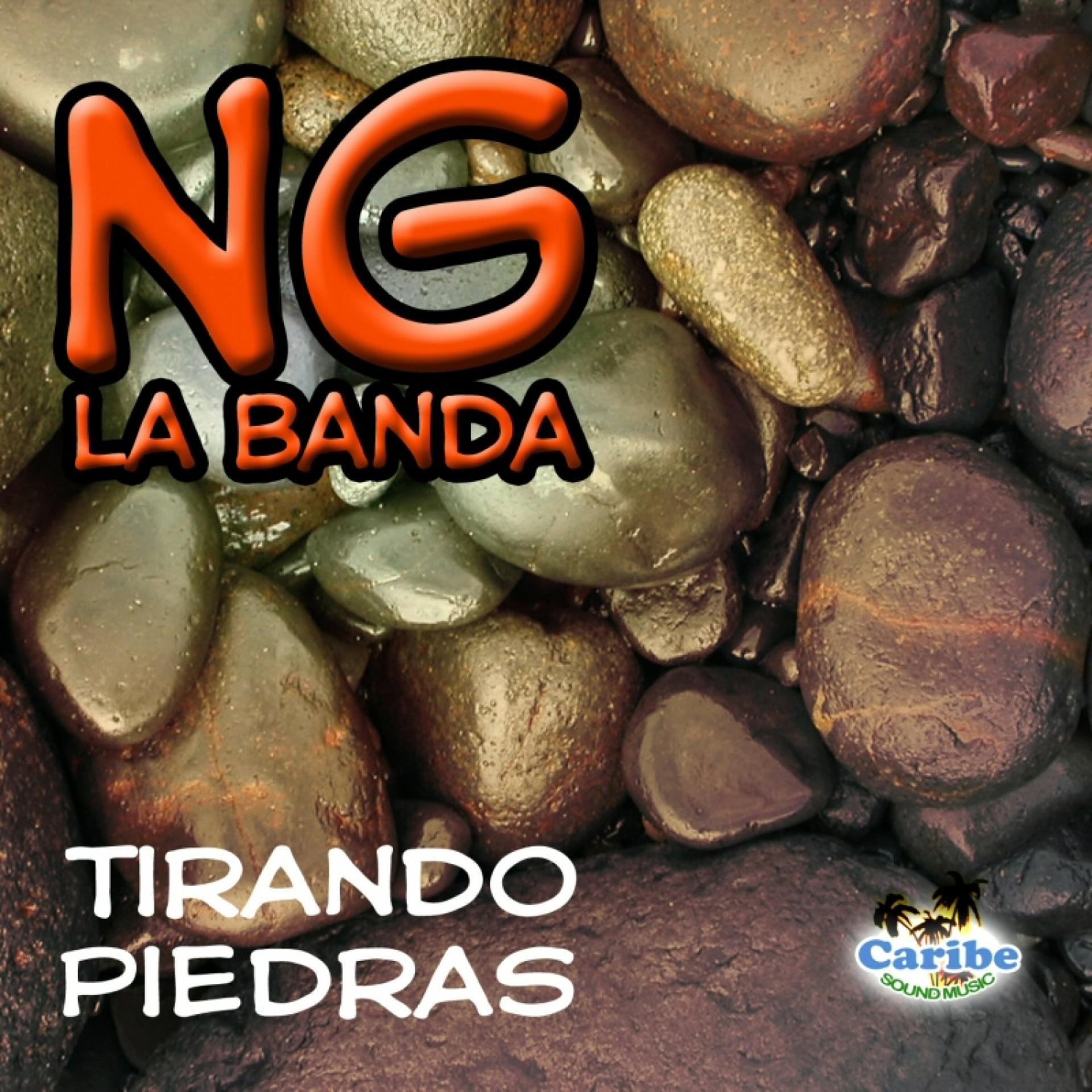 Постер альбома Tirando piedras - single