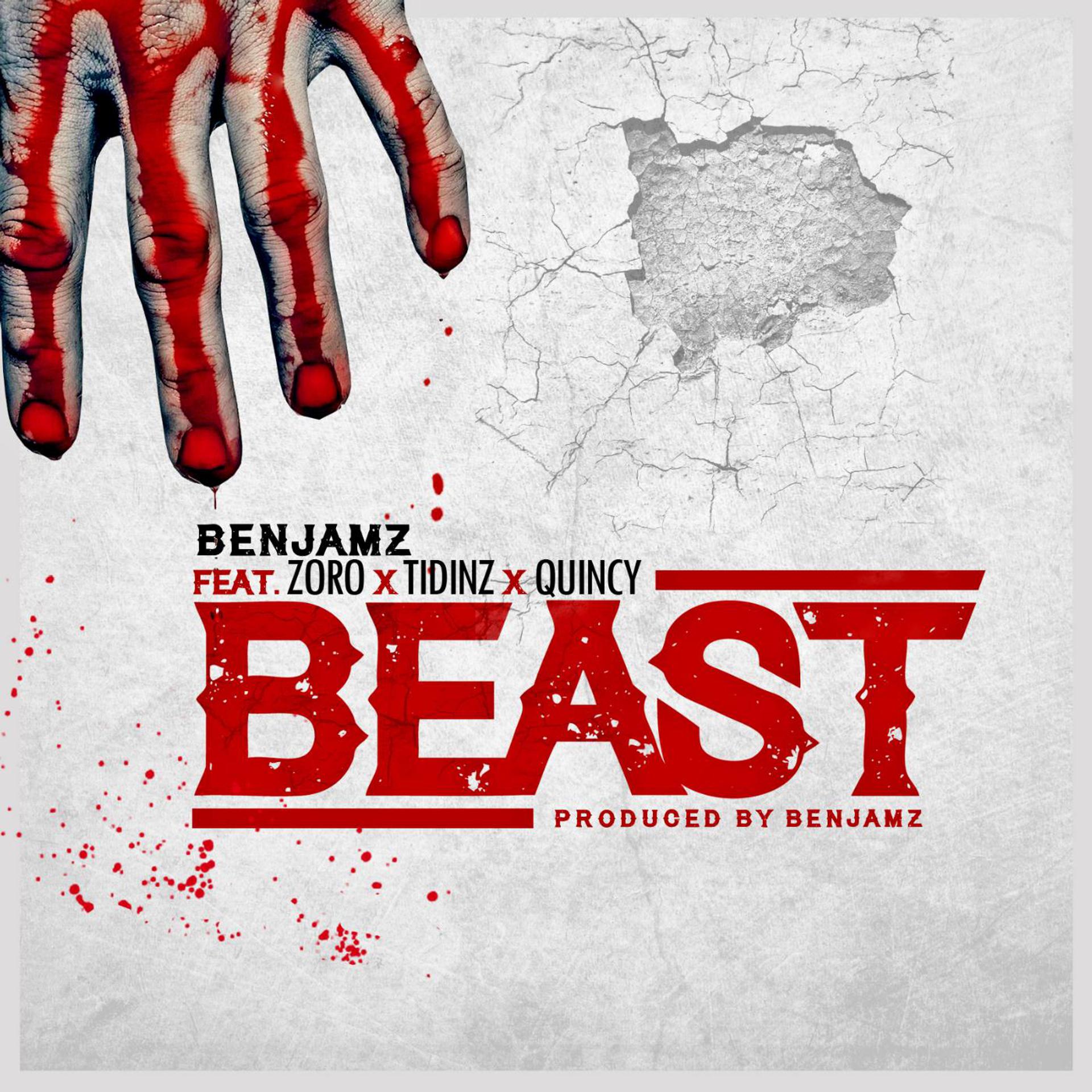 Постер альбома Beast (feat. Zoro, Tidinz & Quincy)