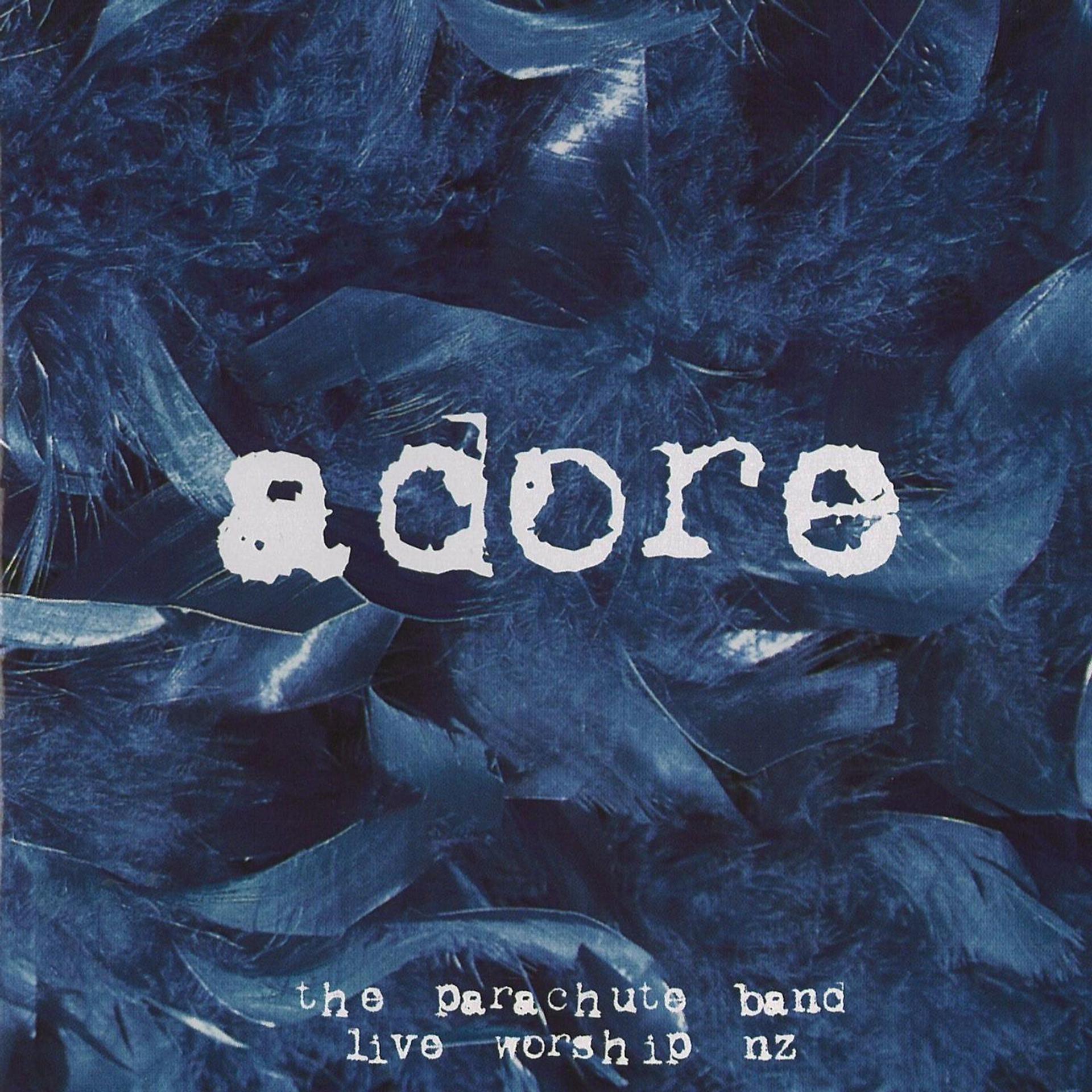 Постер альбома Adore