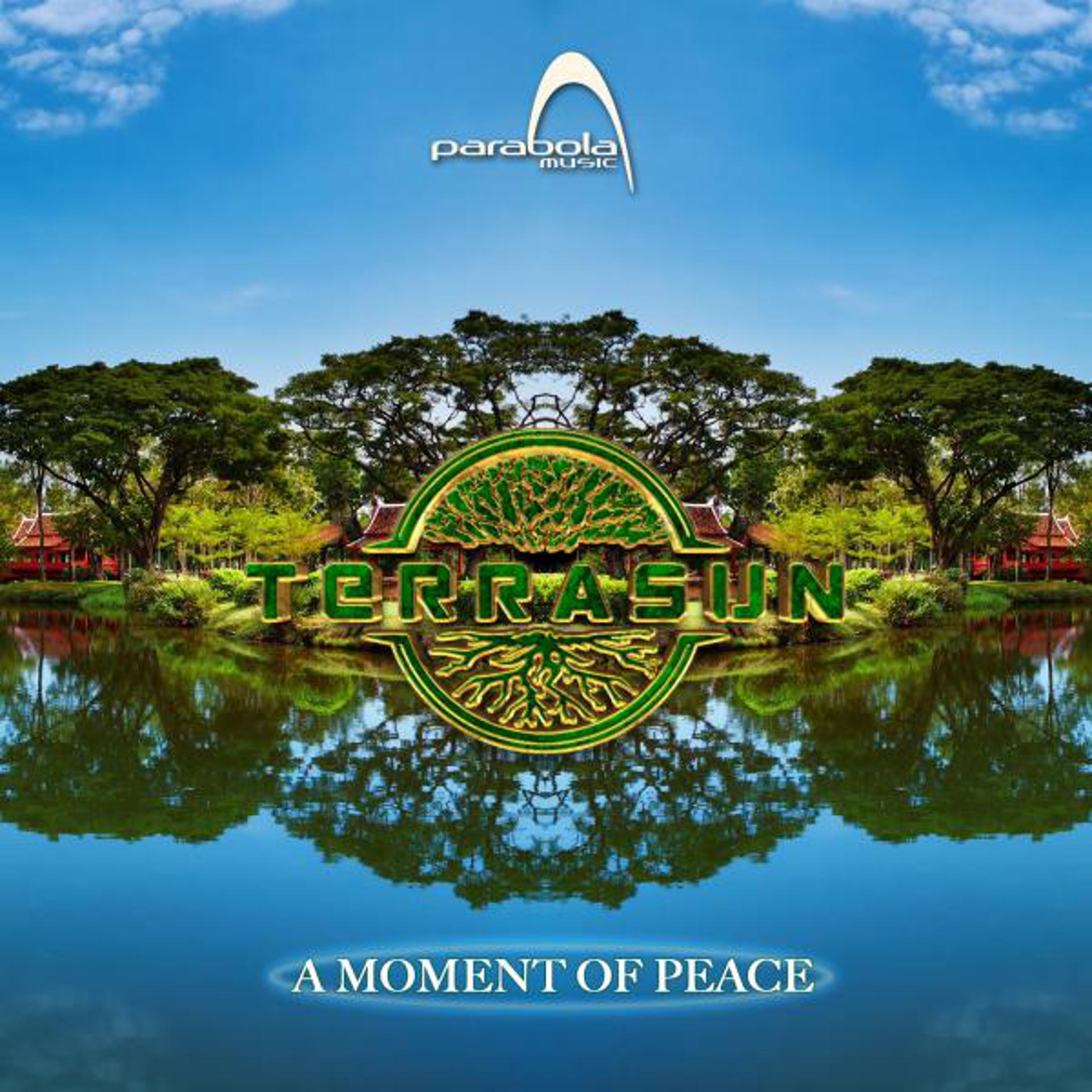 Постер альбома A Moment Of Peace