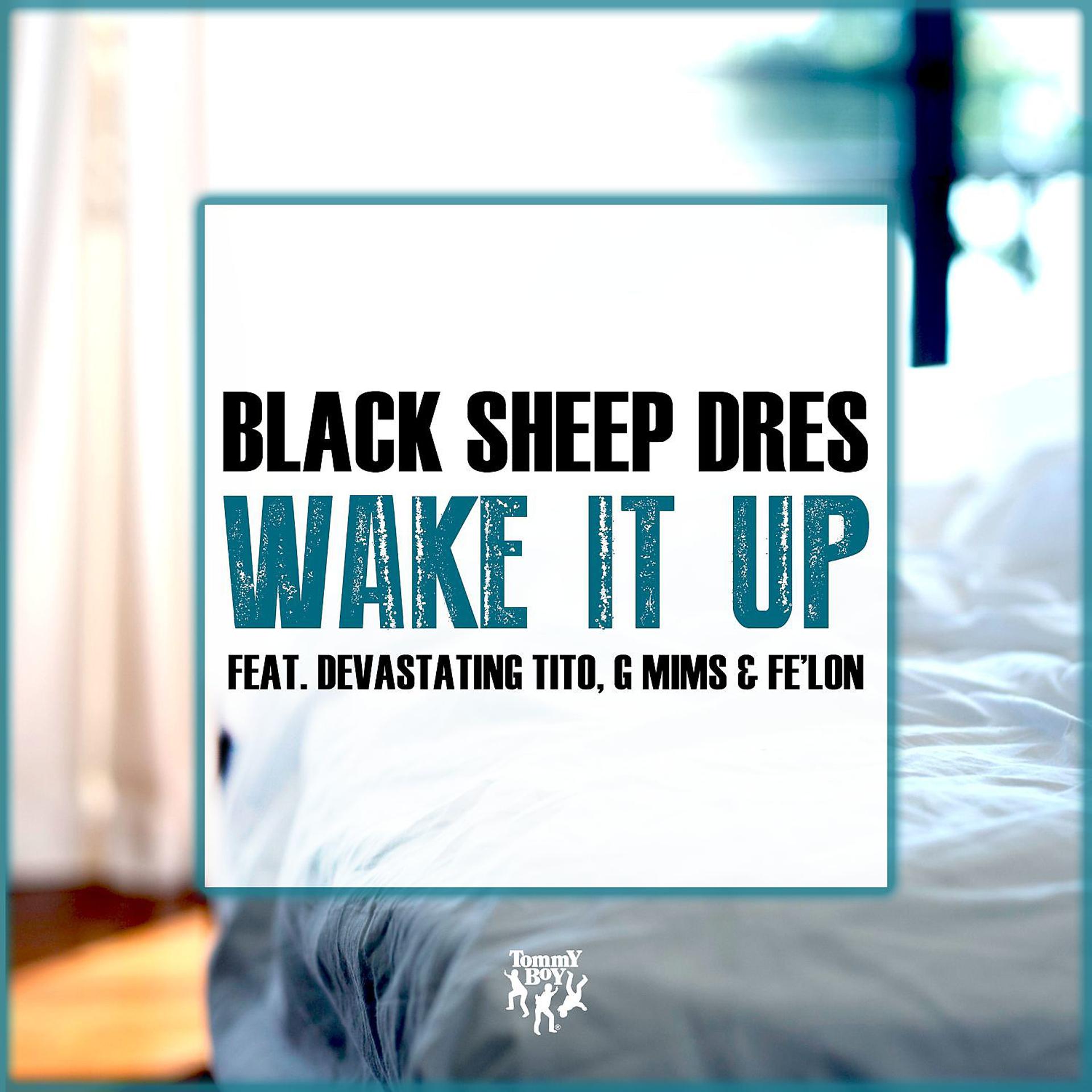Постер альбома Wake It Up (feat. Devastating Tito, G MiMs & Fe'lon)