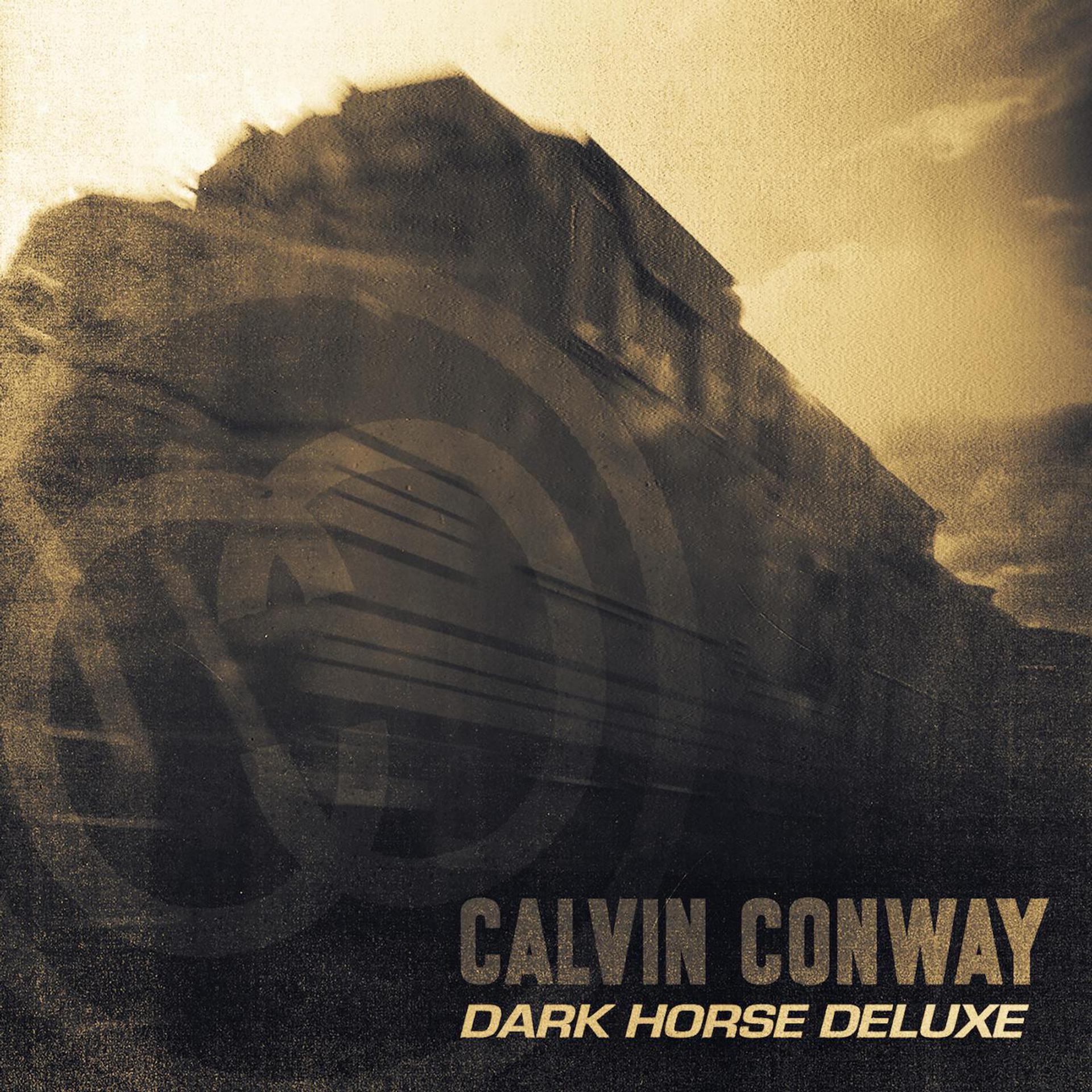 Постер альбома Dark Horse Deluxe