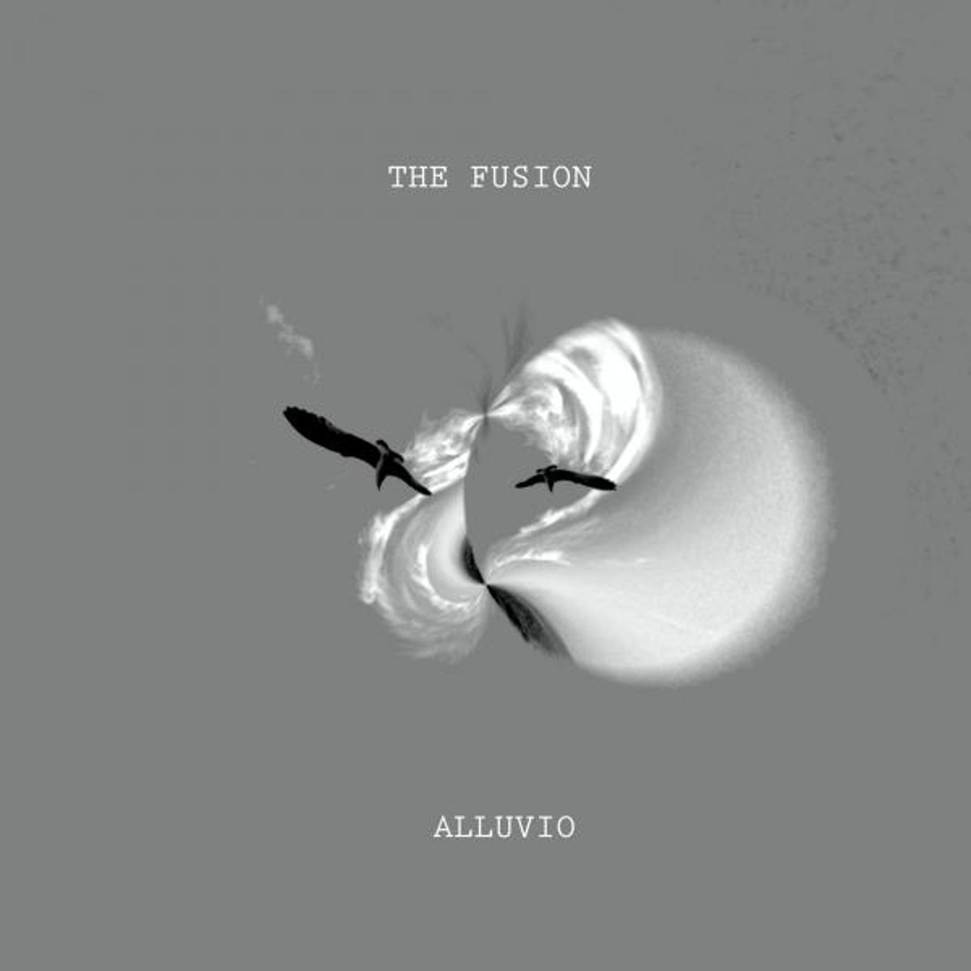 Постер альбома The Fusion