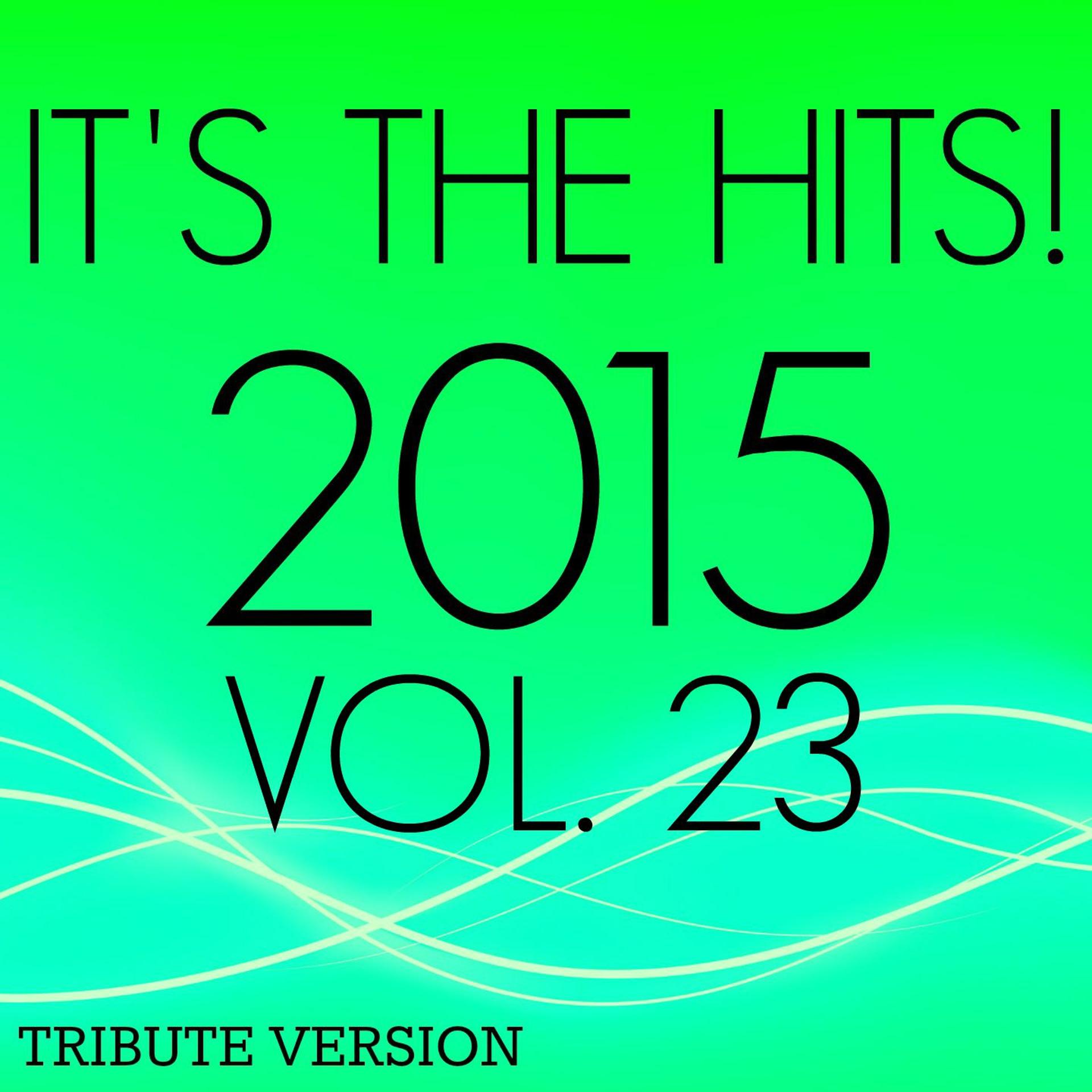 Постер альбома It's The Hits! 2015, Vol. 23