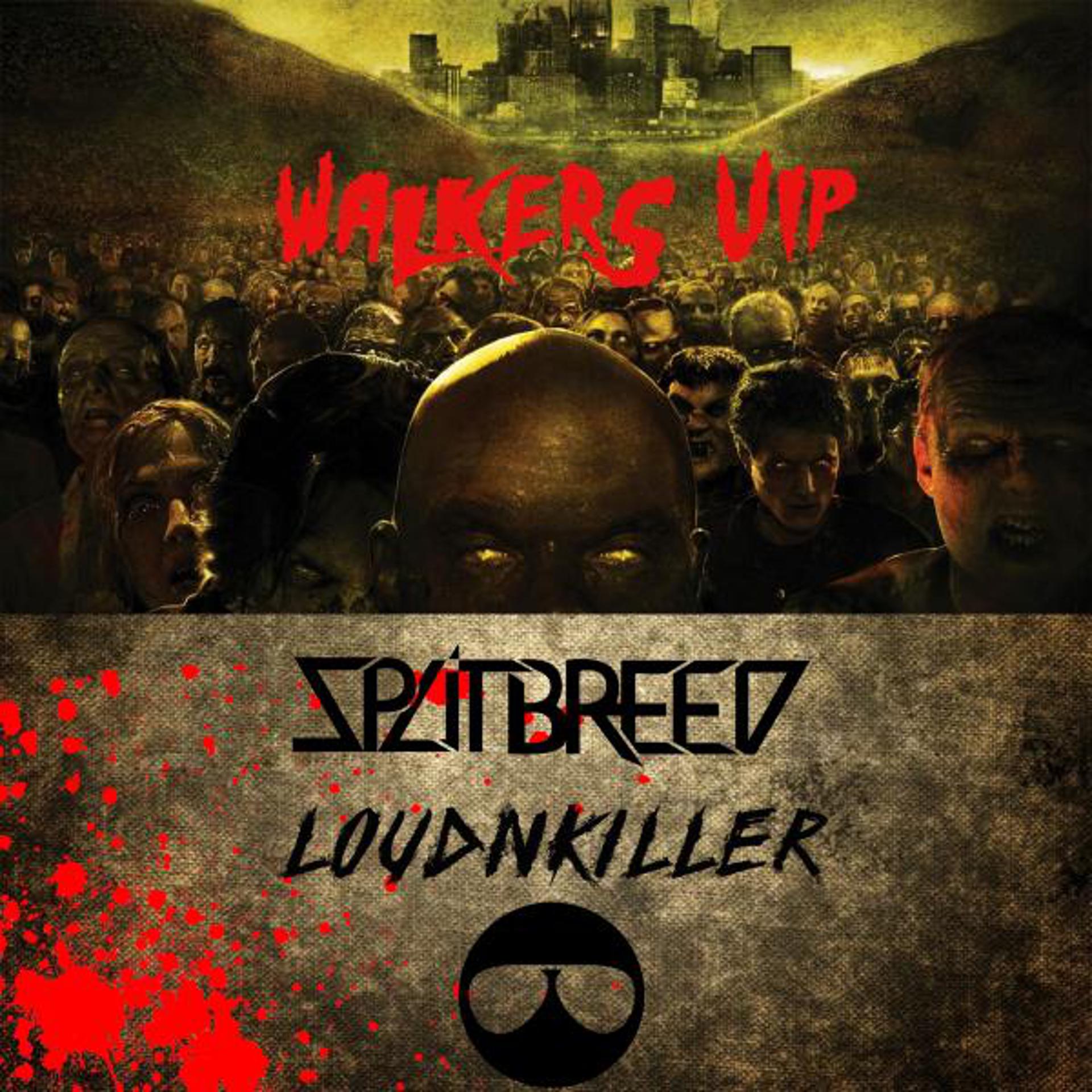 Постер альбома Walkers (VIP)