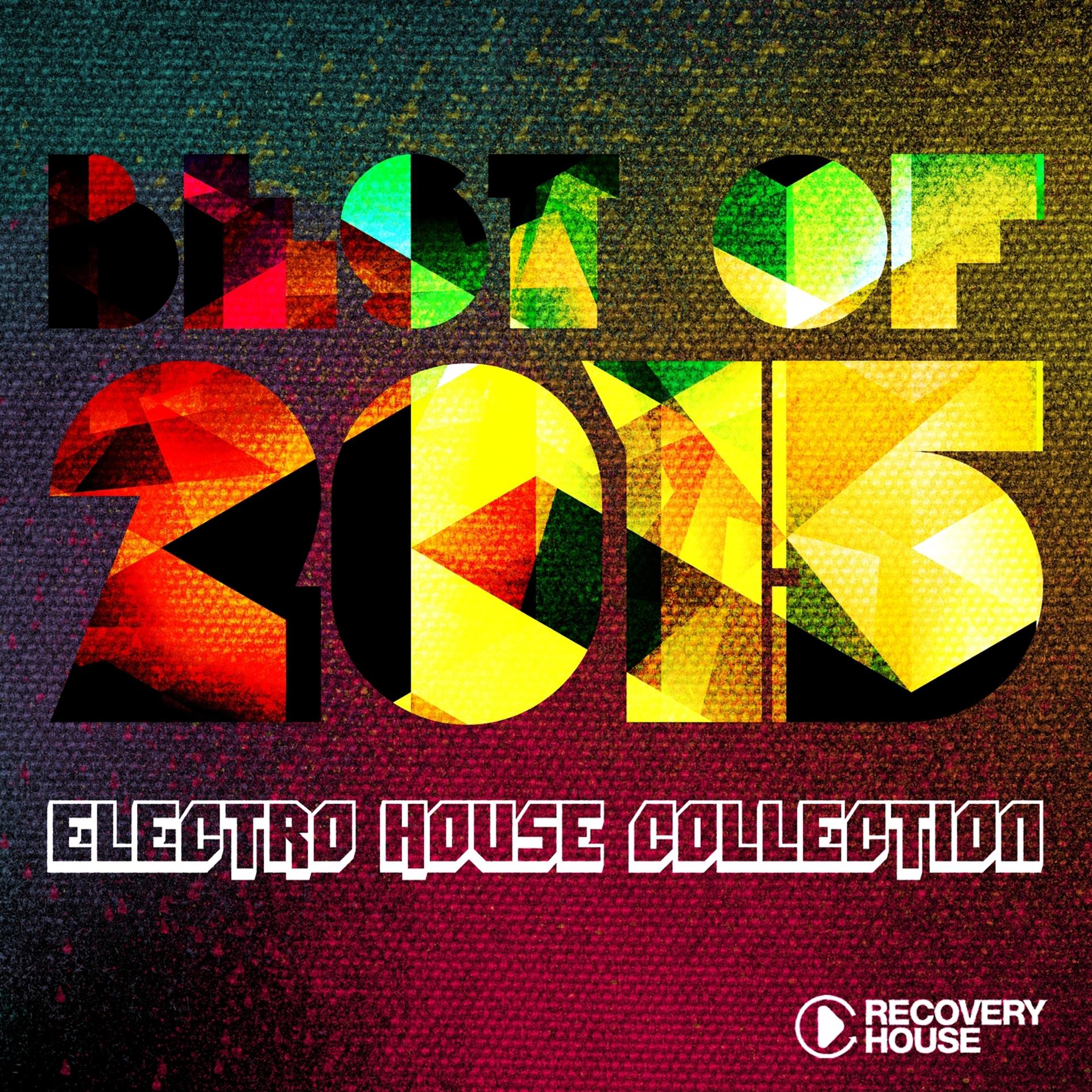 Постер альбома Best of 2015 - Electro House Music Collection