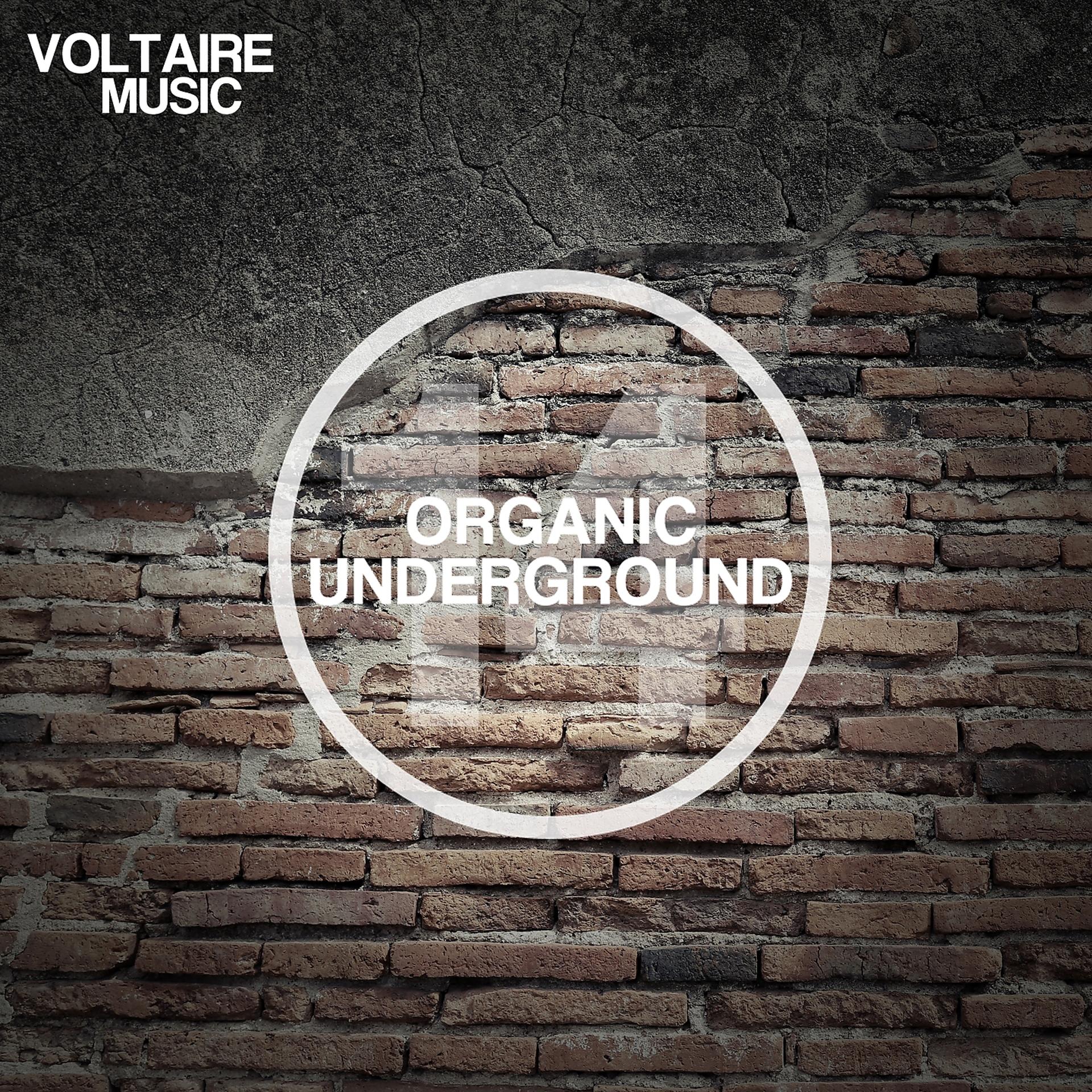 Постер альбома Organic Underground Issue 14