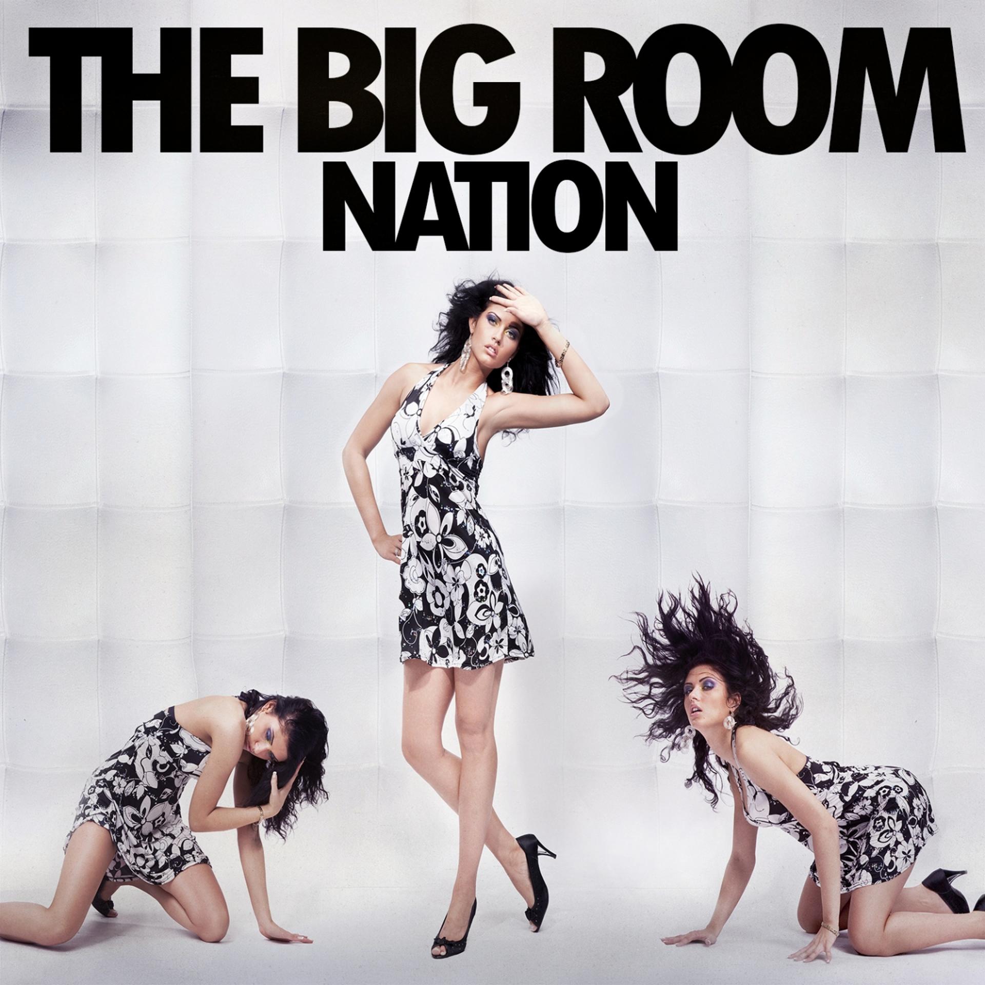 Постер альбома The Big Room Nation