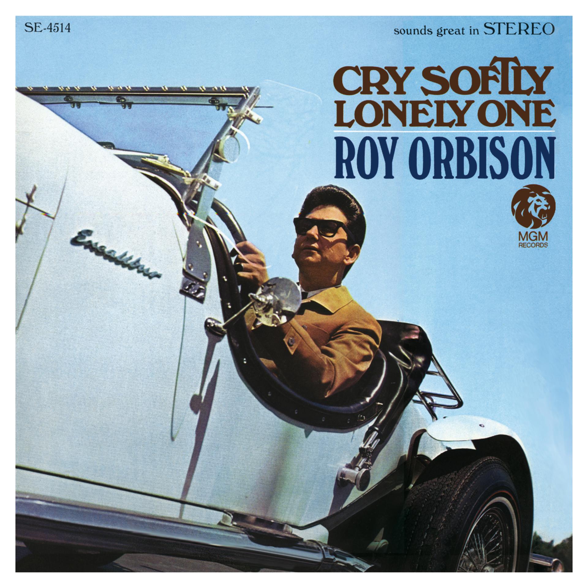 Постер альбома Cry Softly Lonely One