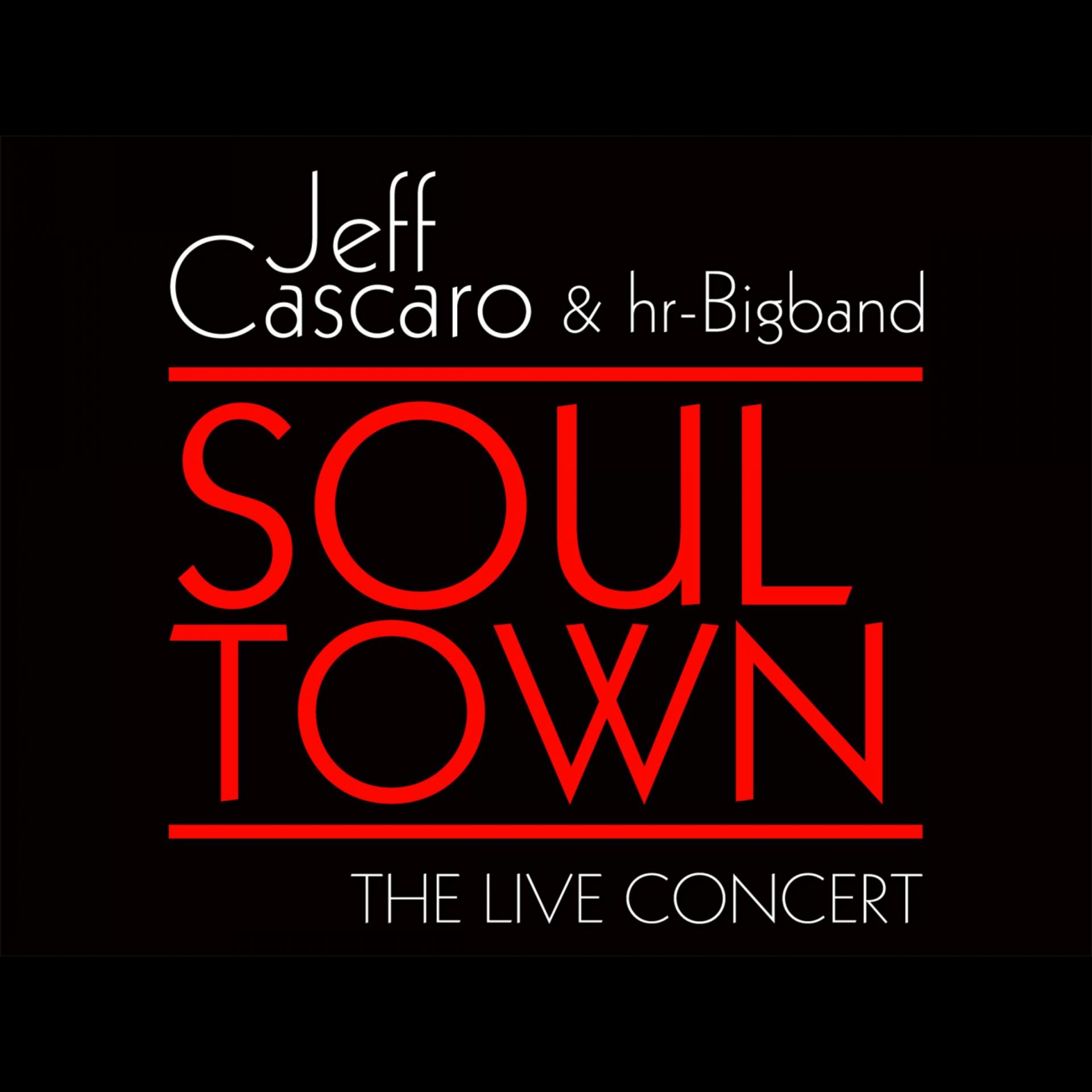Постер альбома Soul Town - The Live Concert