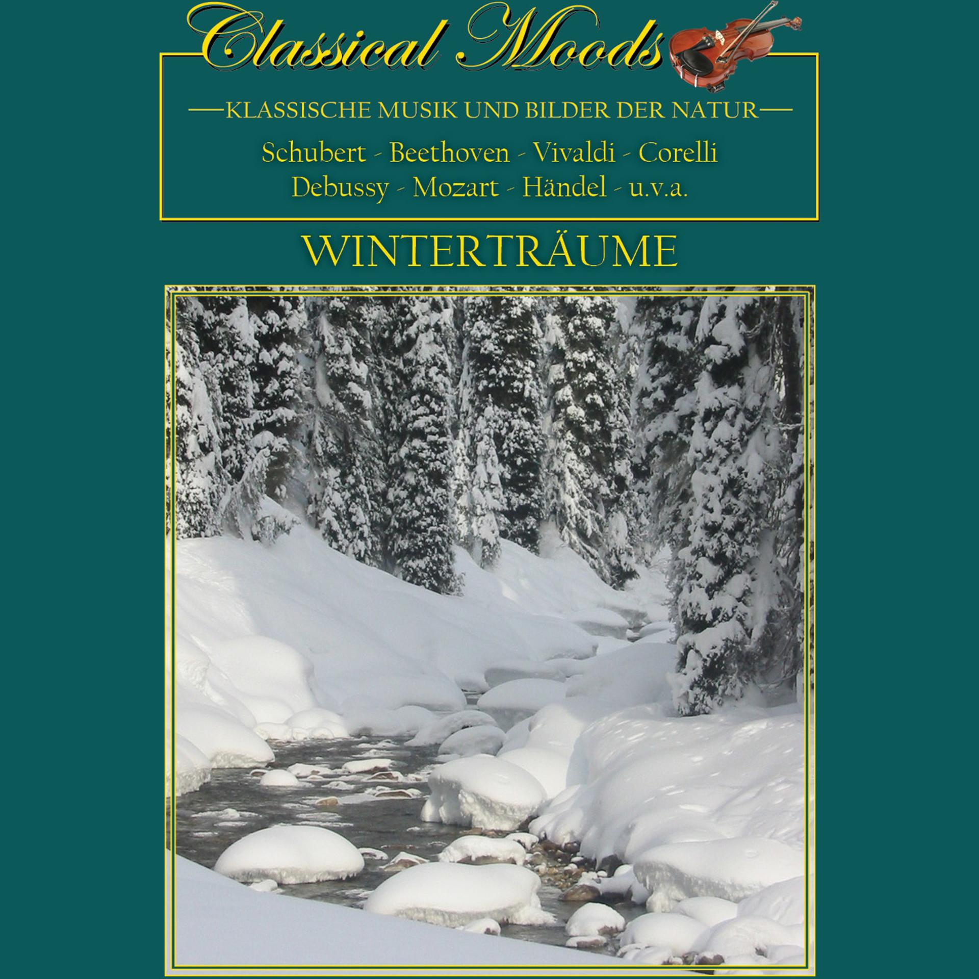Постер альбома Classical Moods - Winter Dreams