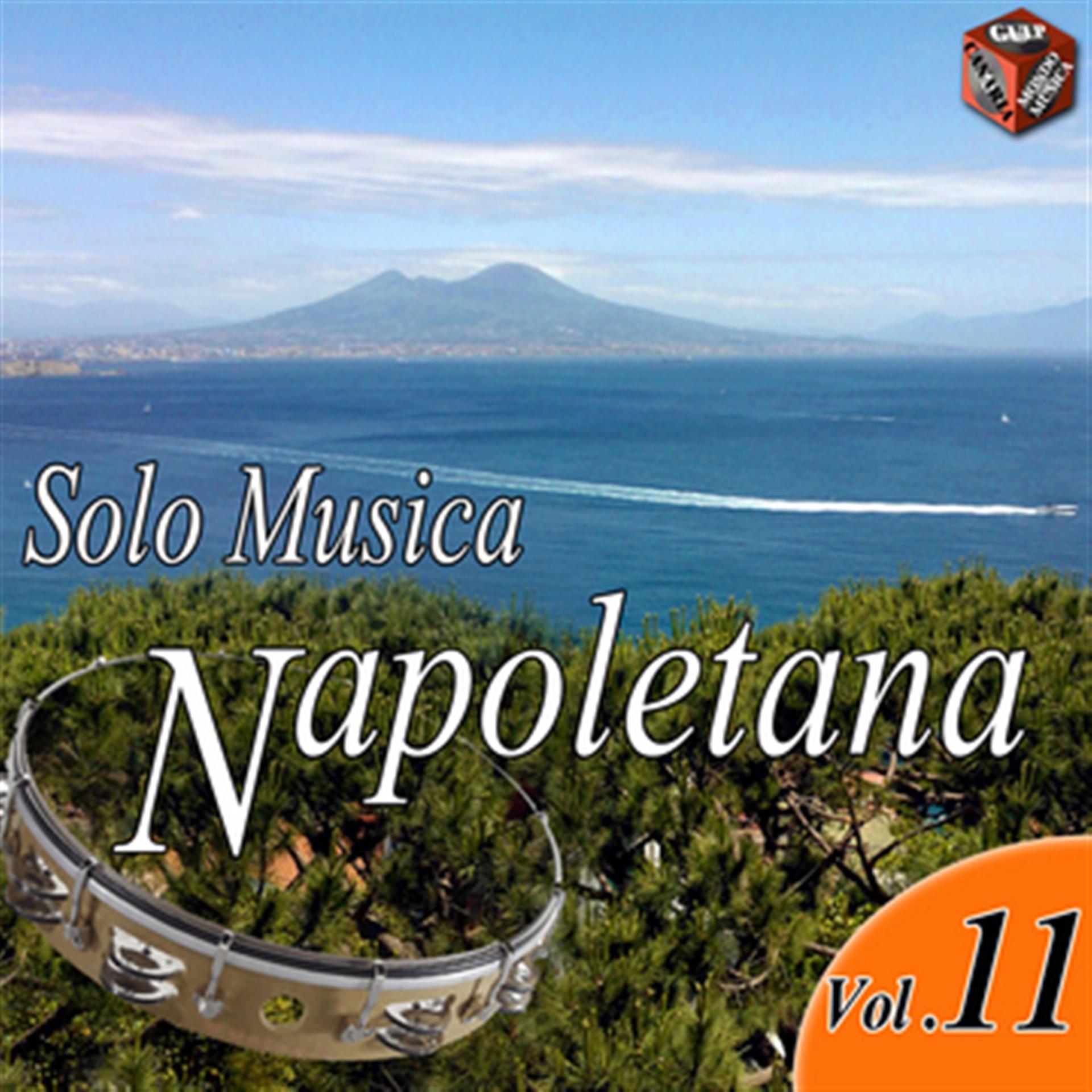 Постер альбома Solo musica napoletana, Vol. 11