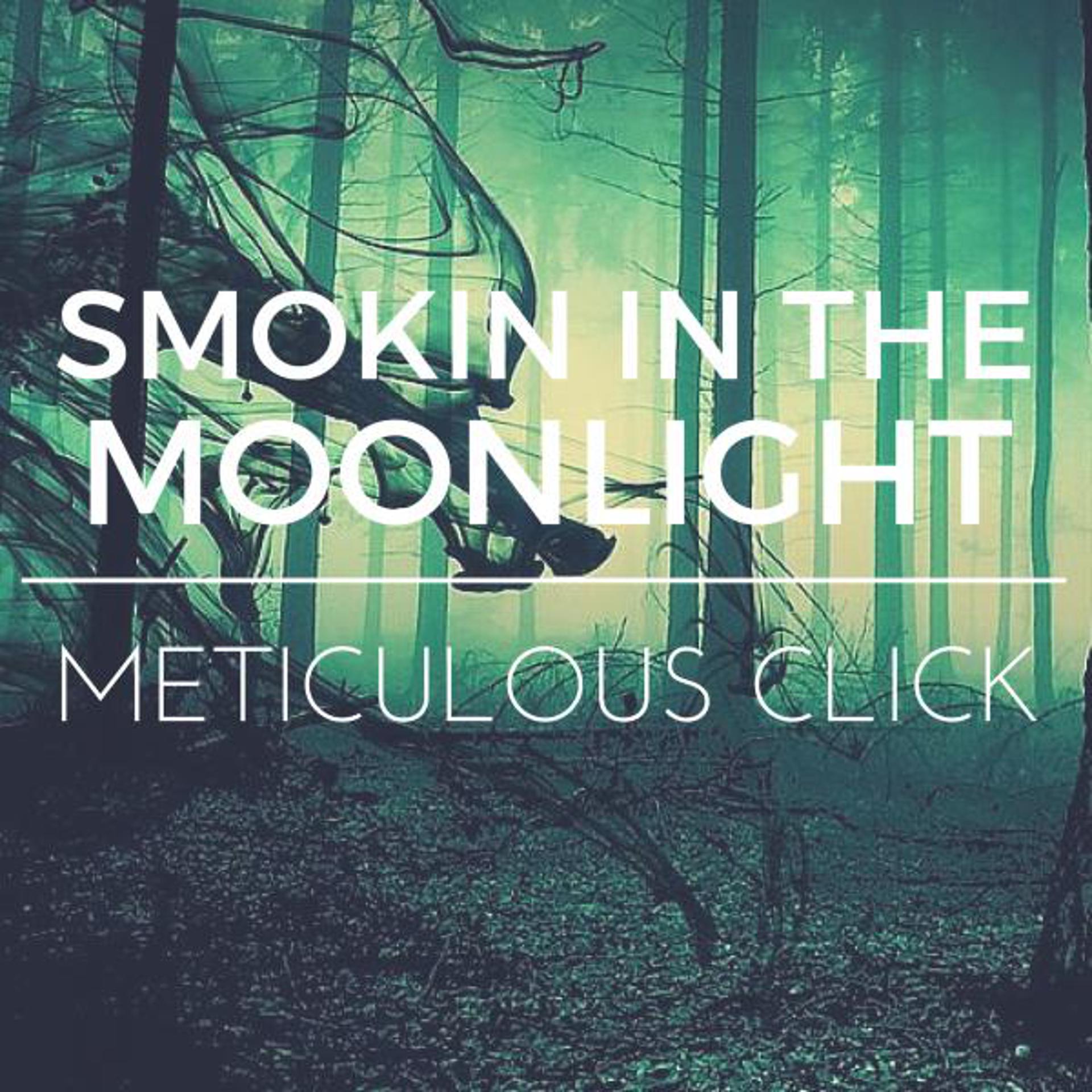 Постер альбома Smokin In The Moonlight