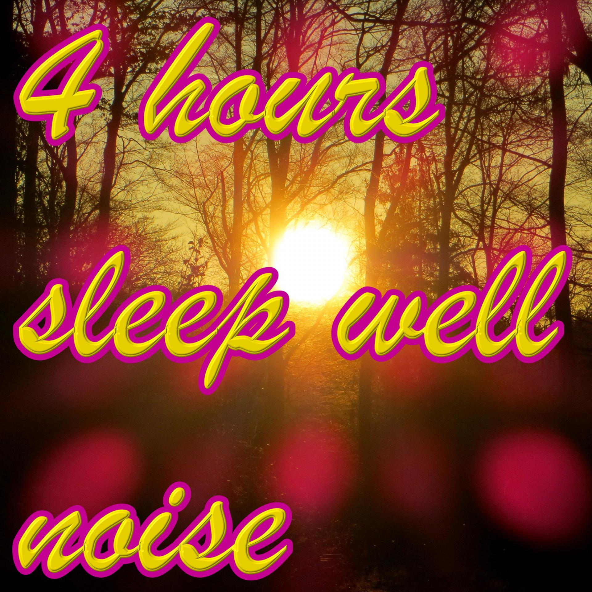 Постер альбома 4 hours sleep well noise