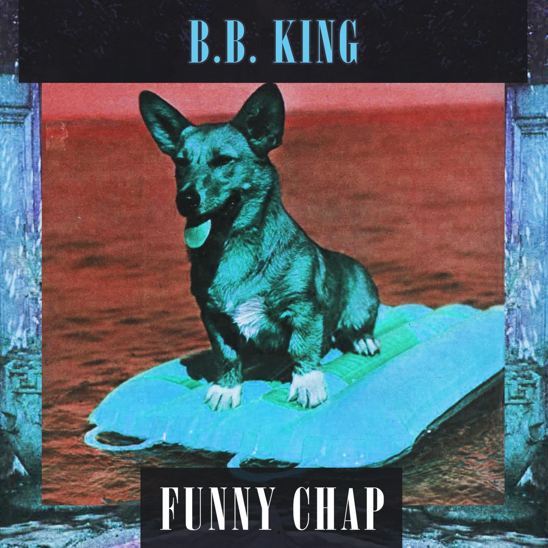 Постер альбома Funny Chap