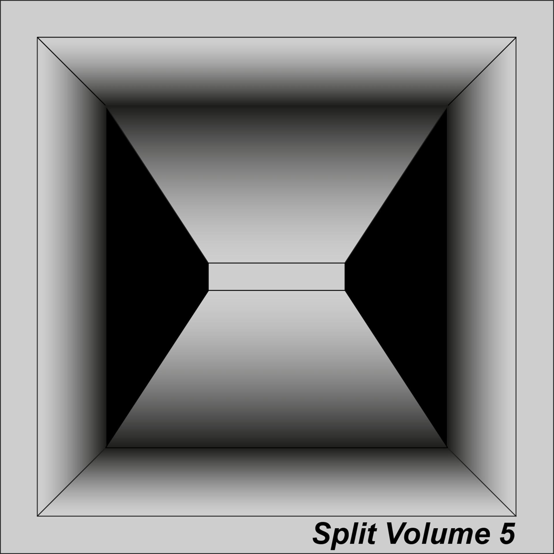 Постер альбома Split, Vol. 5