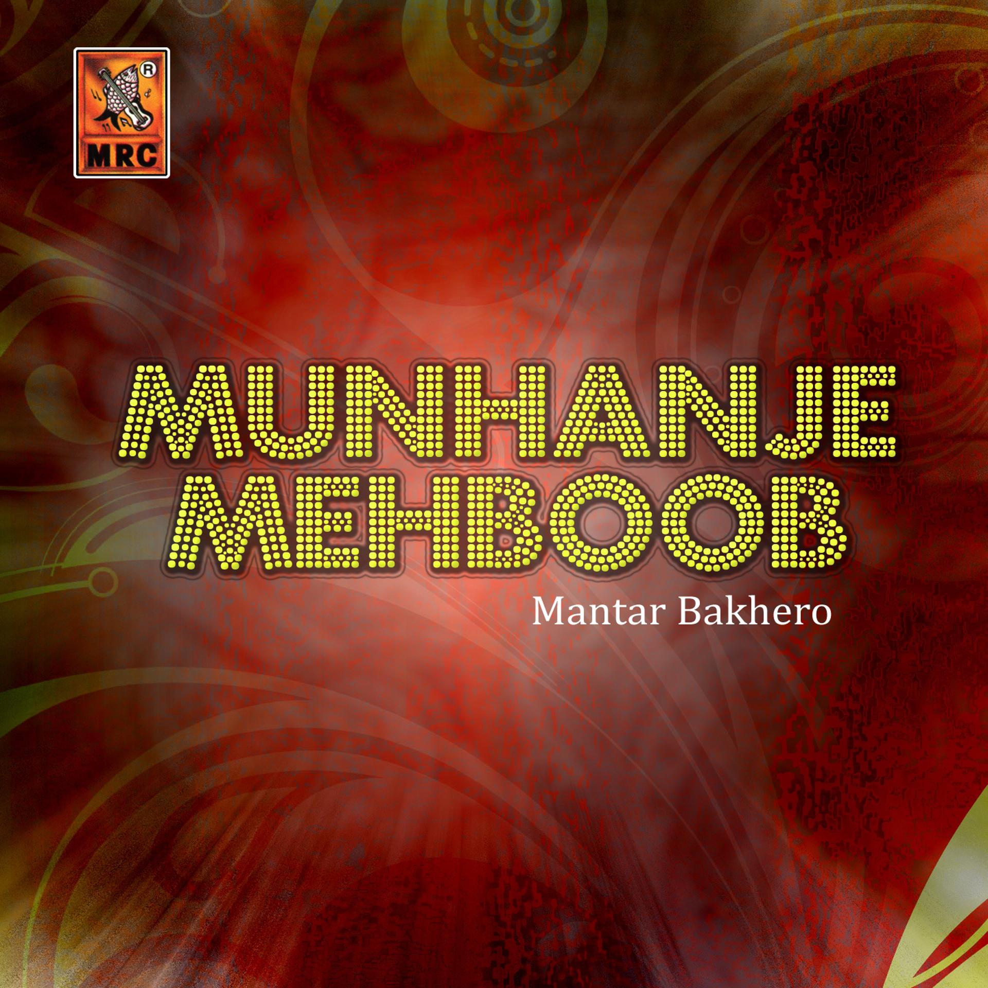 Постер альбома Munhanje Mehboob