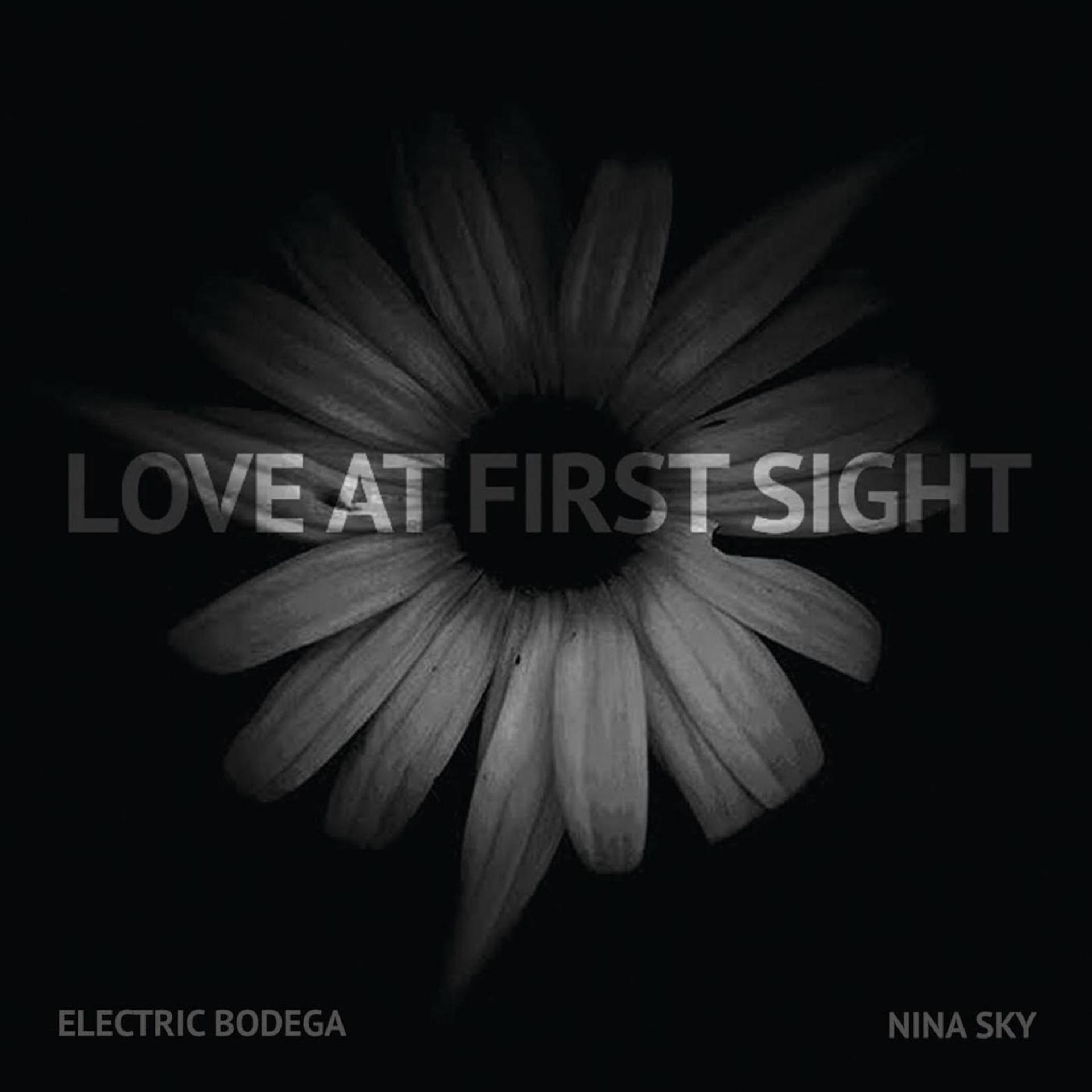 Постер альбома Love at First Sight (feat. Nina Sky)