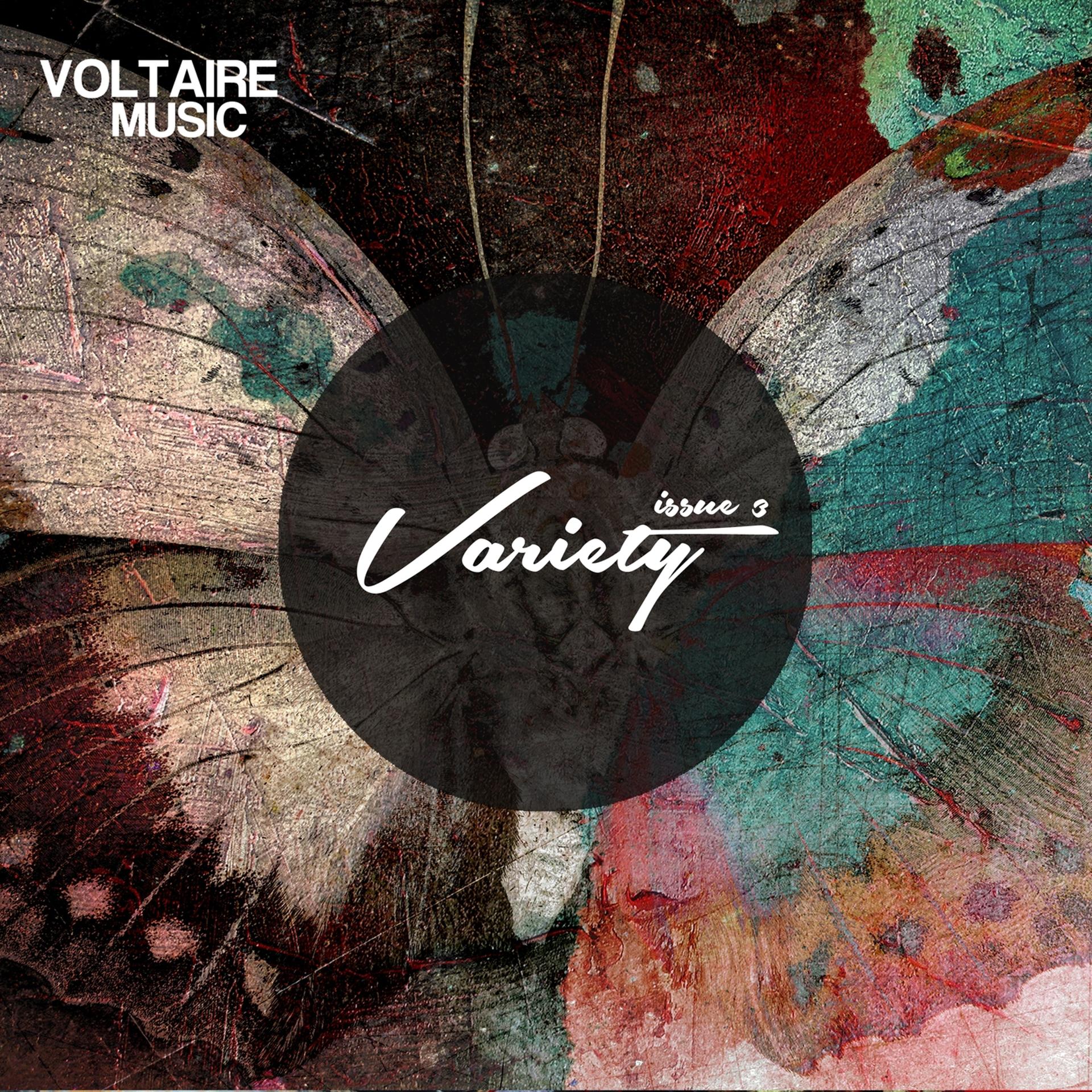 Постер альбома Voltaire Music Pres. Variety Issue 3