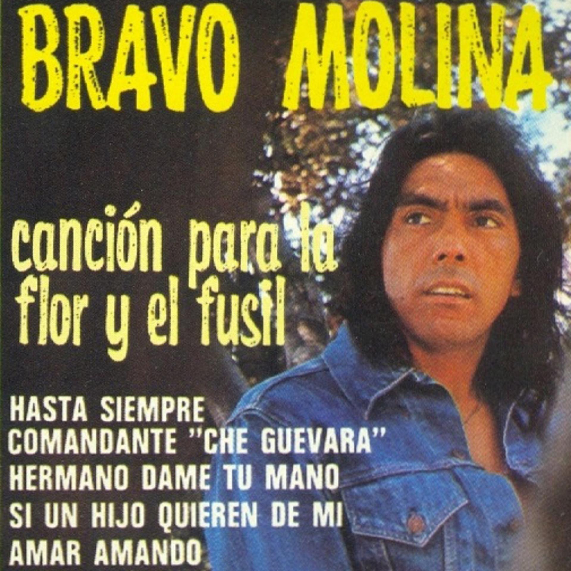 Постер альбома Canción para la Flor y el Fusil