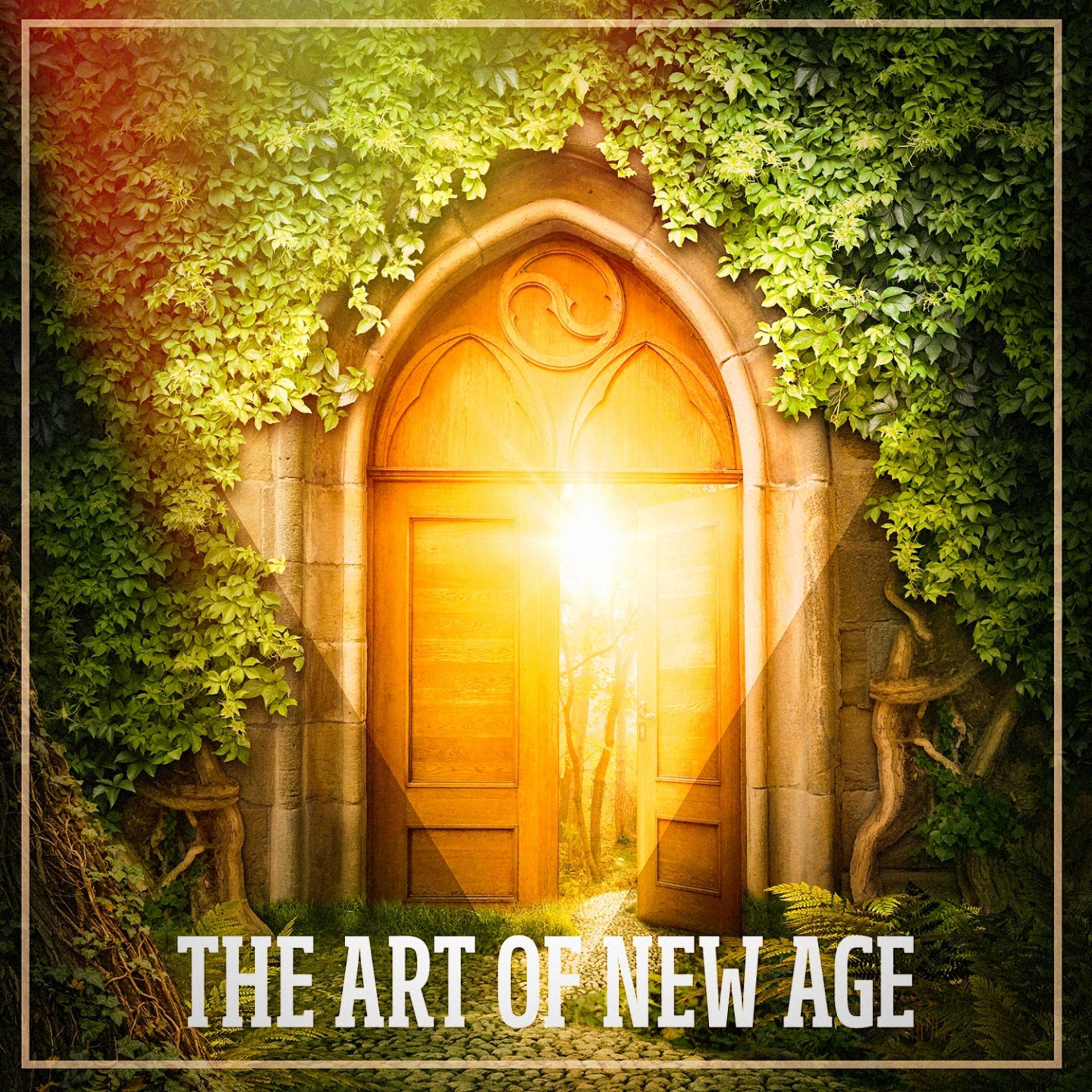 Постер альбома The Art of New Age