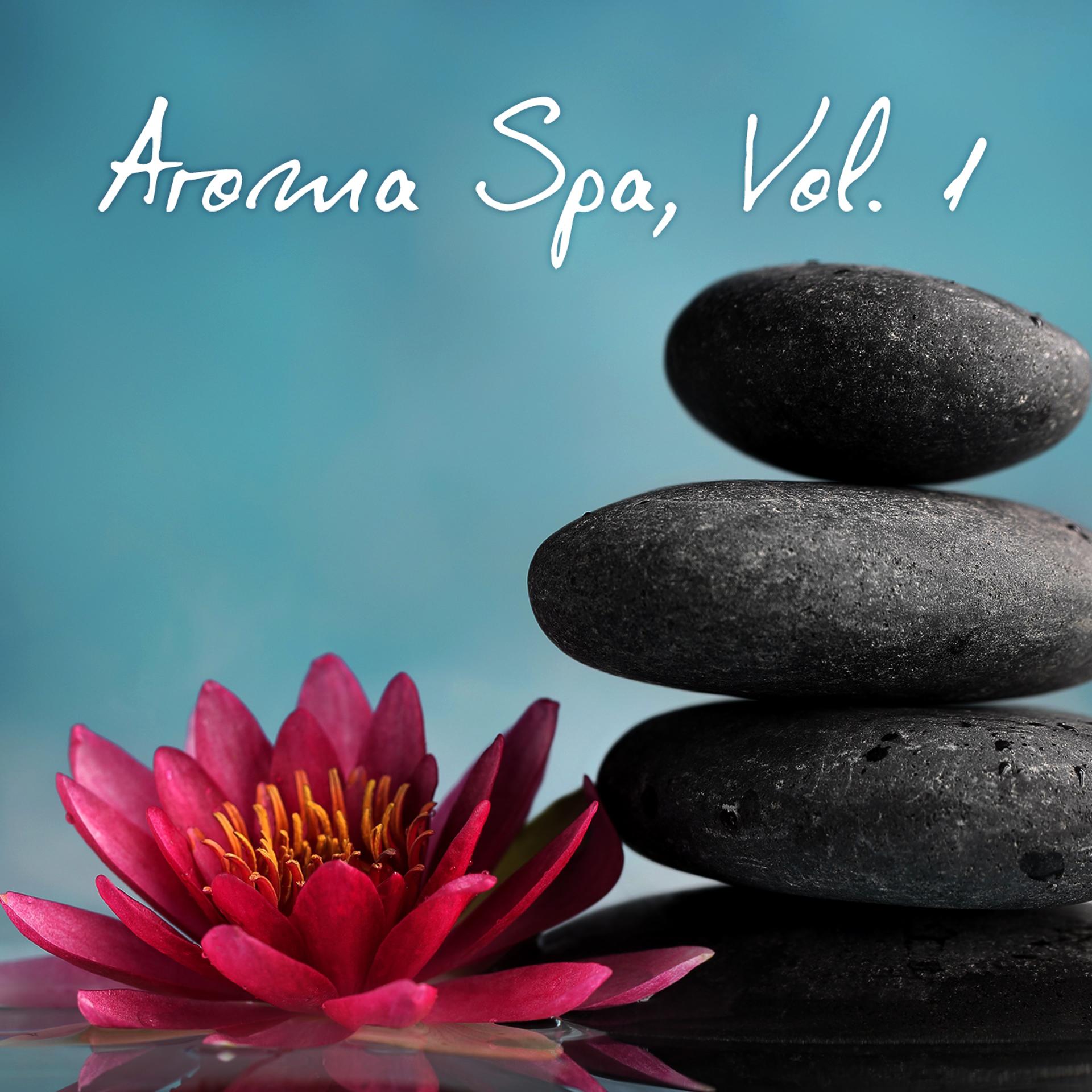 Постер альбома Aroma Spa, Vol. 1