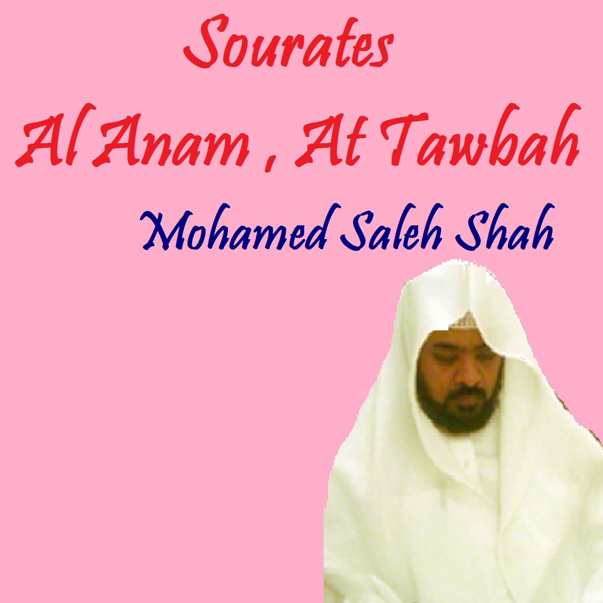 Постер альбома Sourates Al Anam , At Tawbah