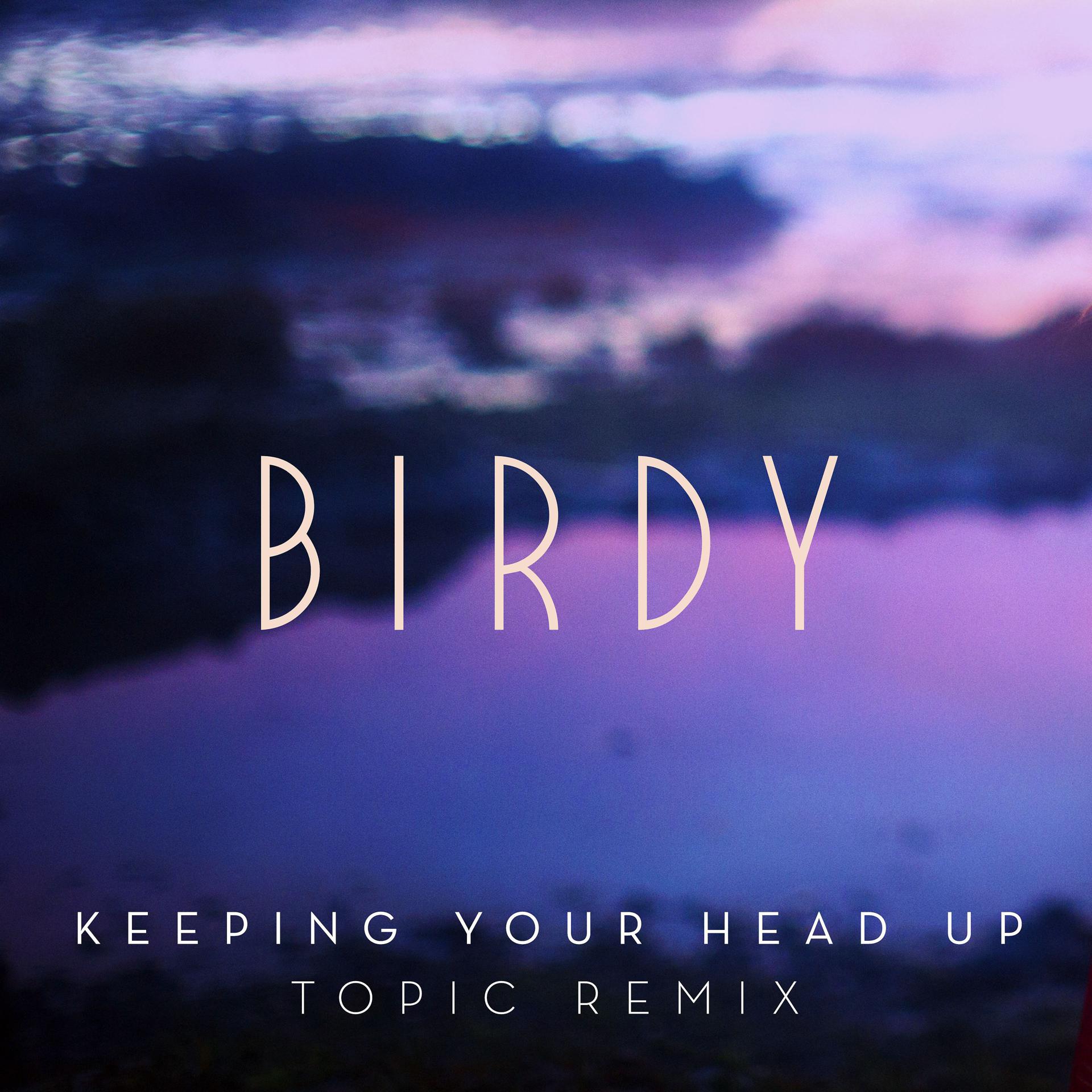 Постер альбома Keeping Your Head Up (Topic Remix)