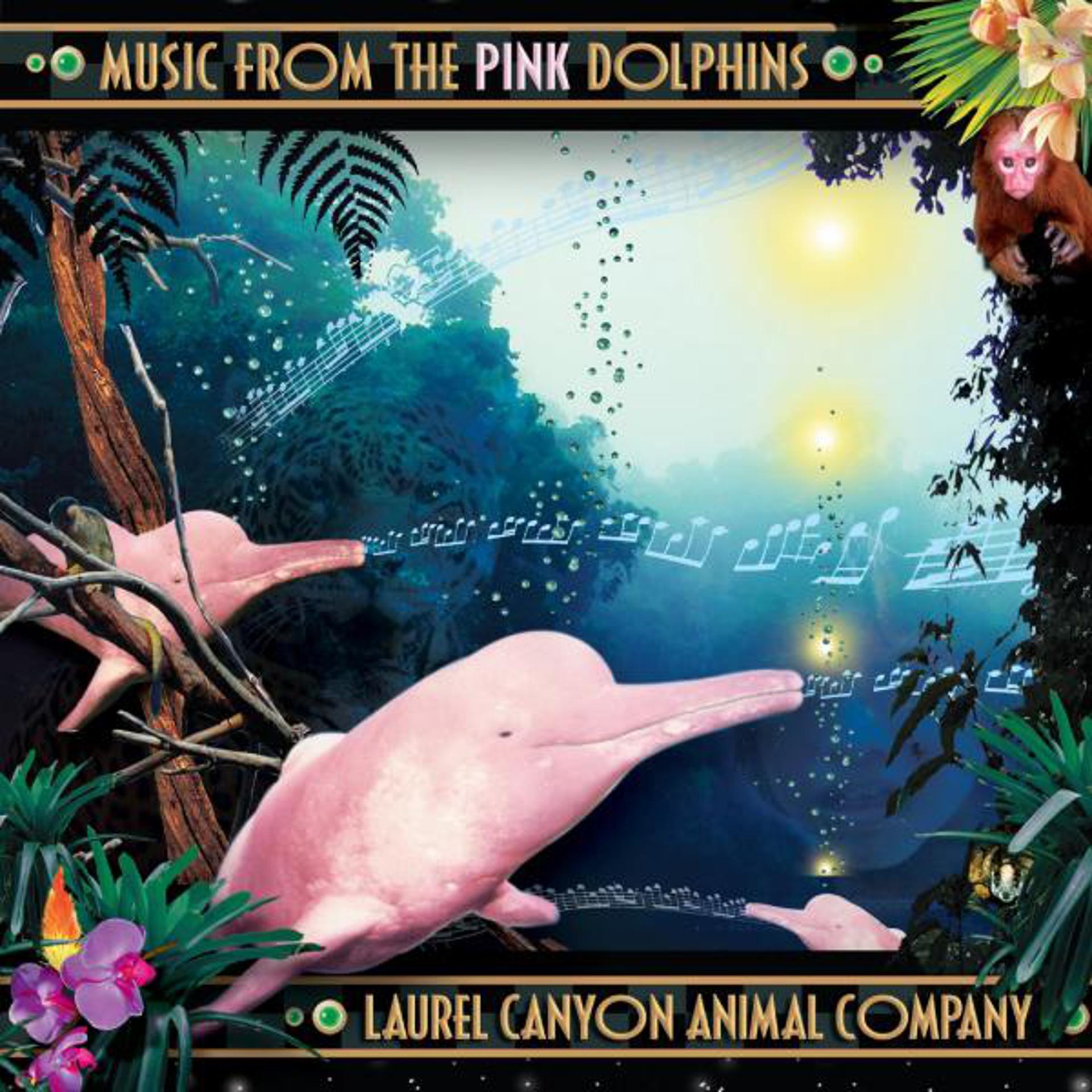 Постер альбома Music From The Pink Dolphins