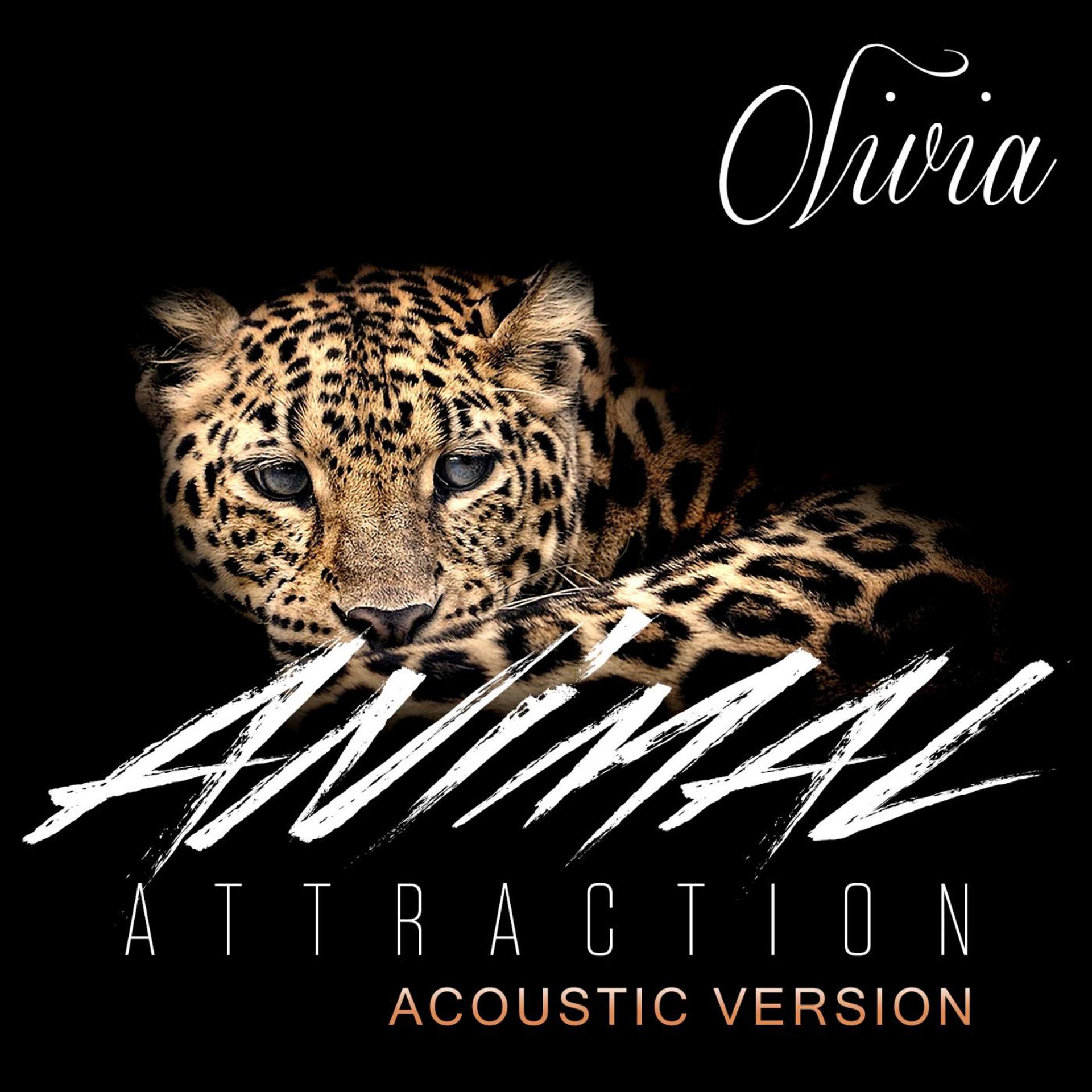 Постер альбома Animal Attraction (Acoustic Version)