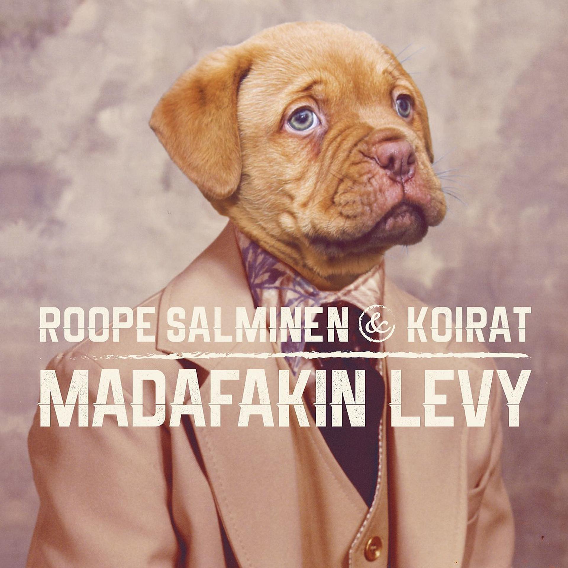 Постер альбома Madafakin levy
