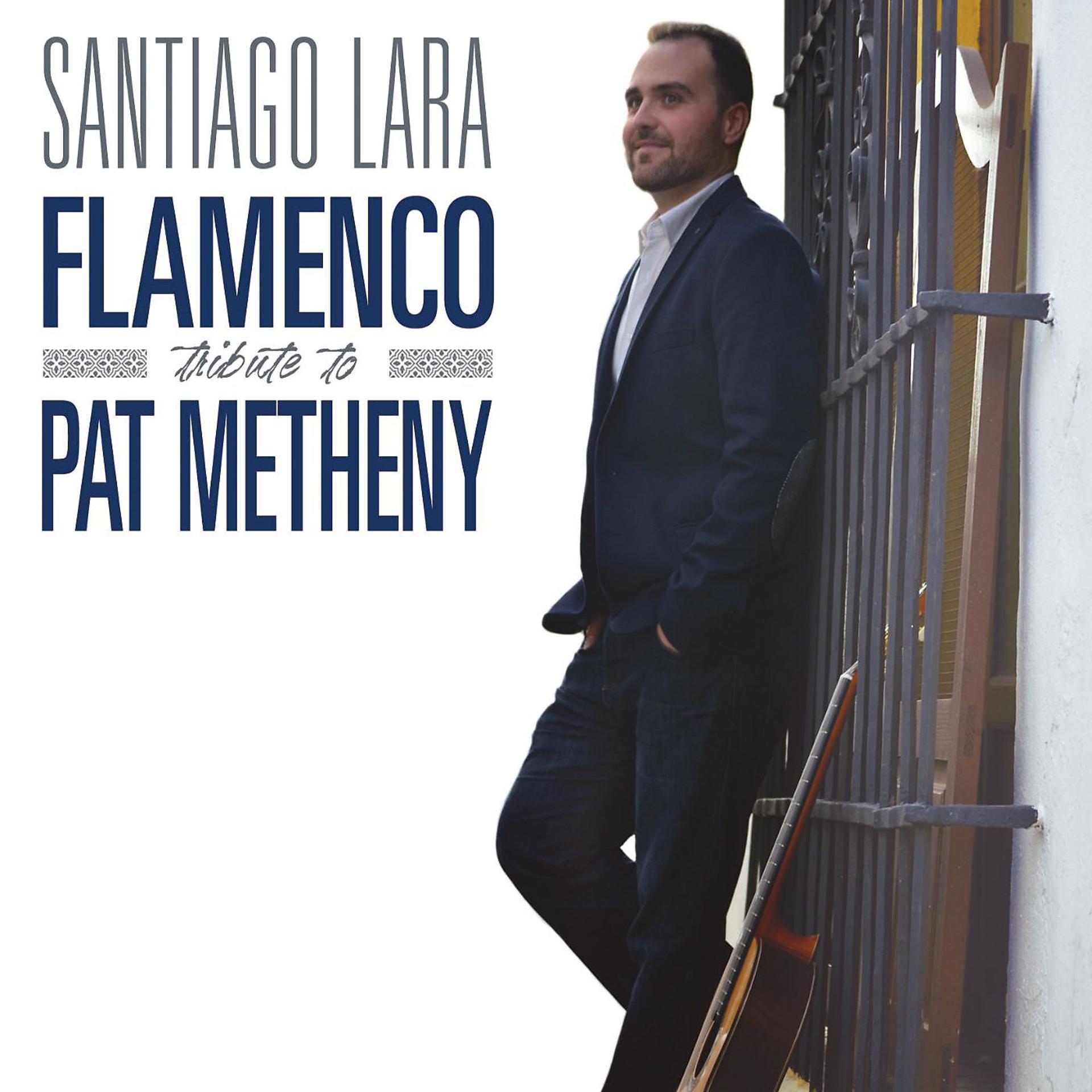 Постер альбома Flamenco Tribute to Pat Metheny