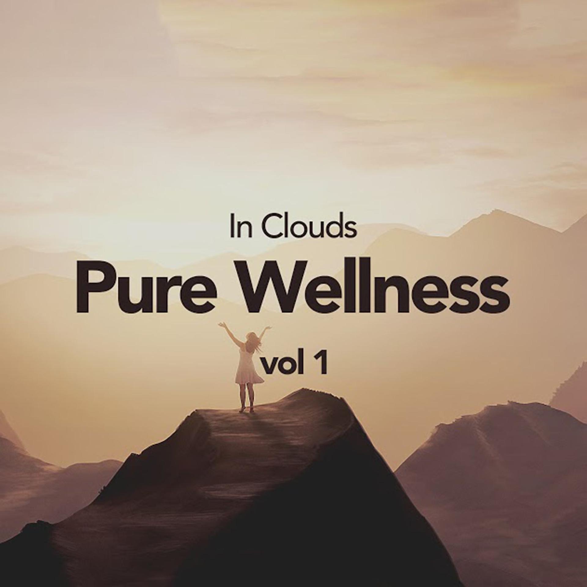Постер альбома Pure Wellness Vol 1