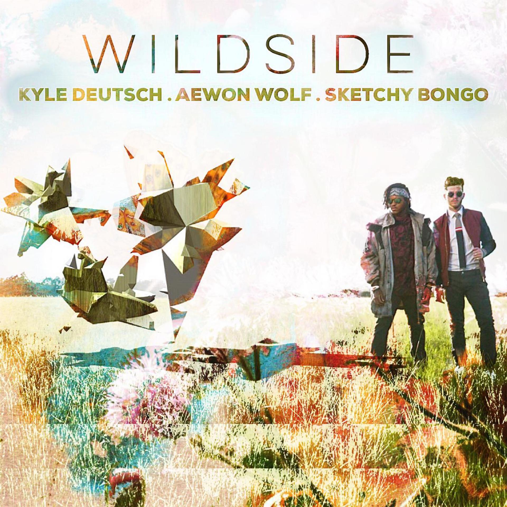 Постер альбома Wildside